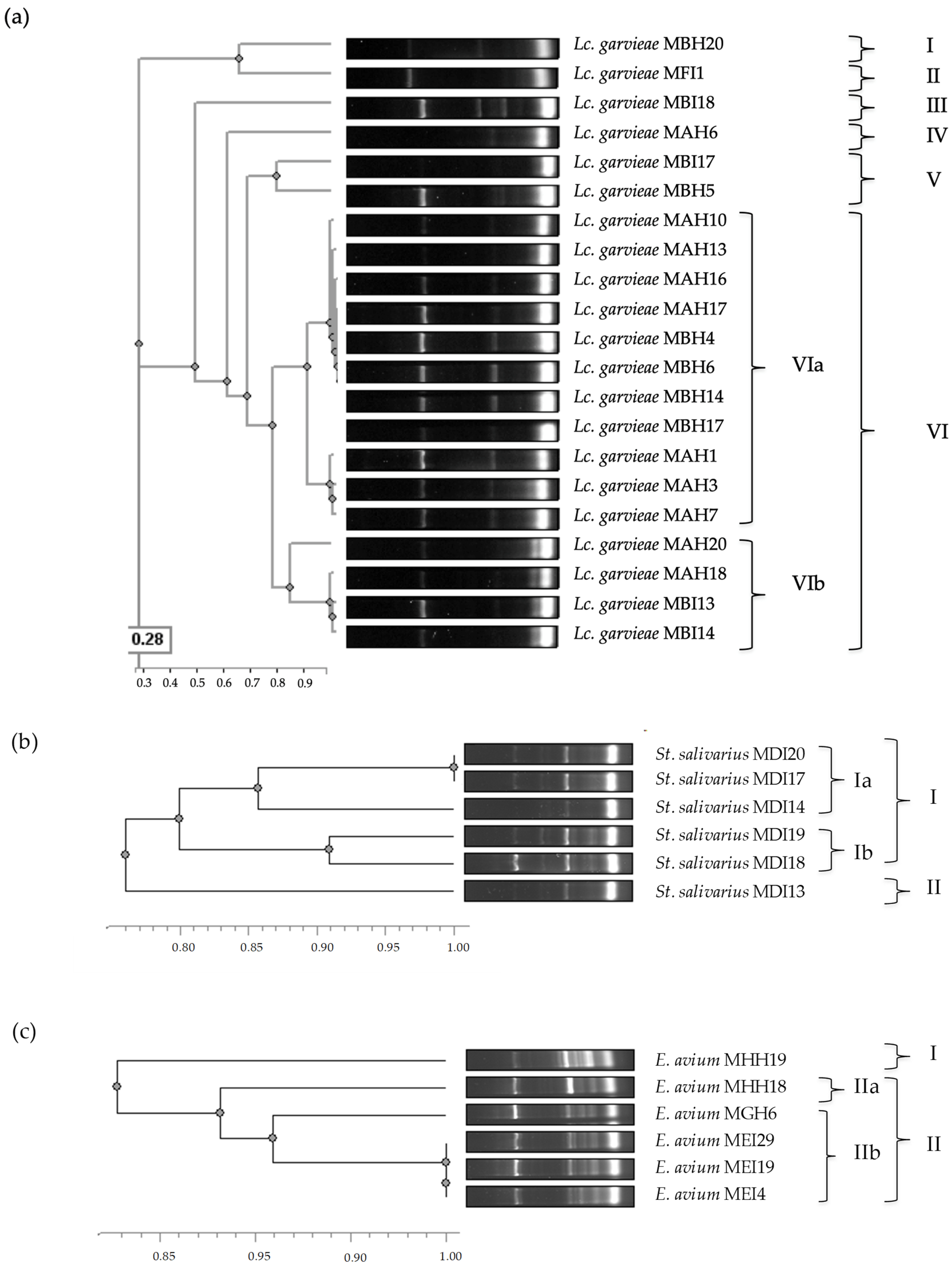 Antibiotics 14 00469 g002
