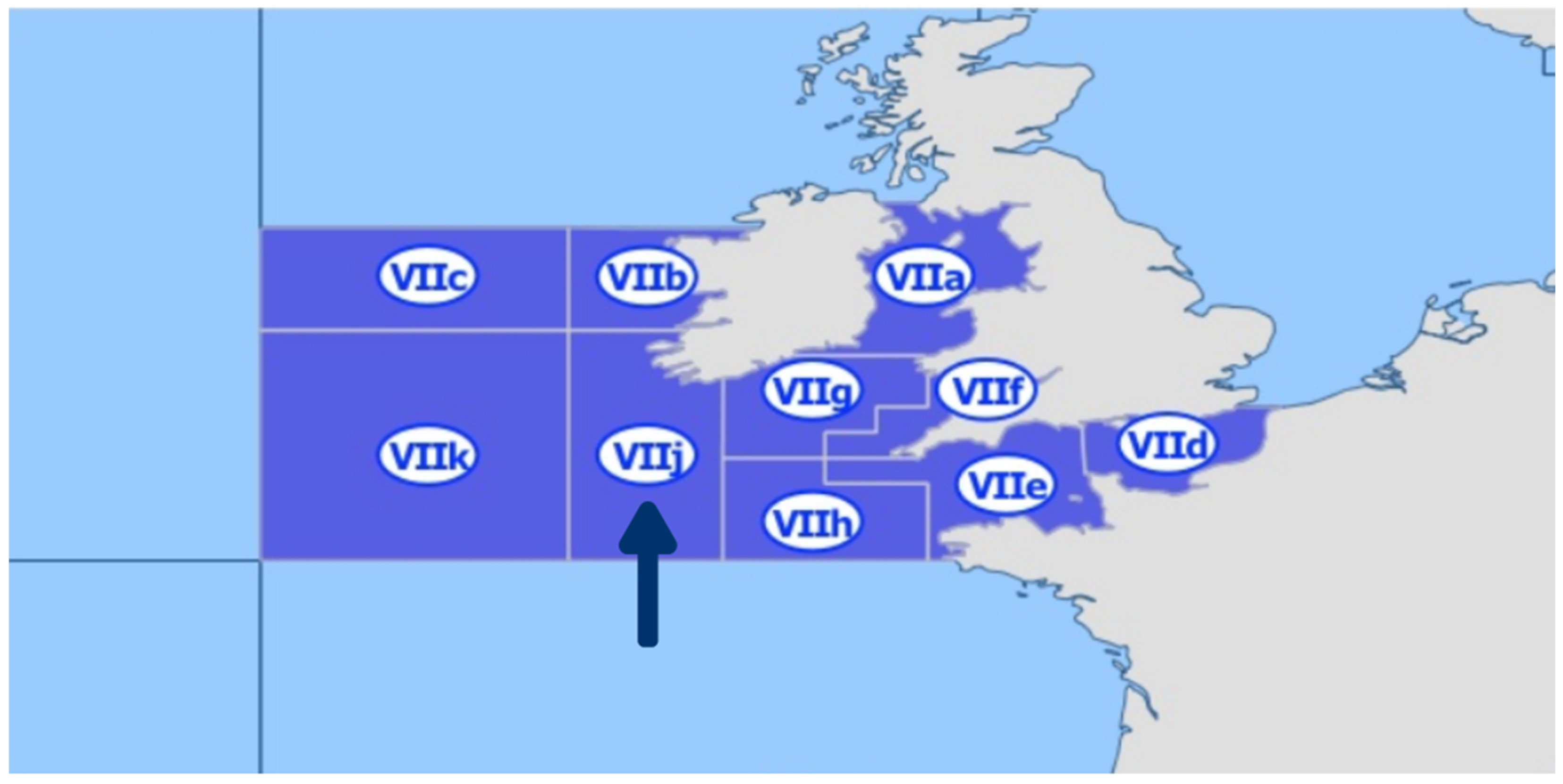 Antibiotics 14 00469 g004