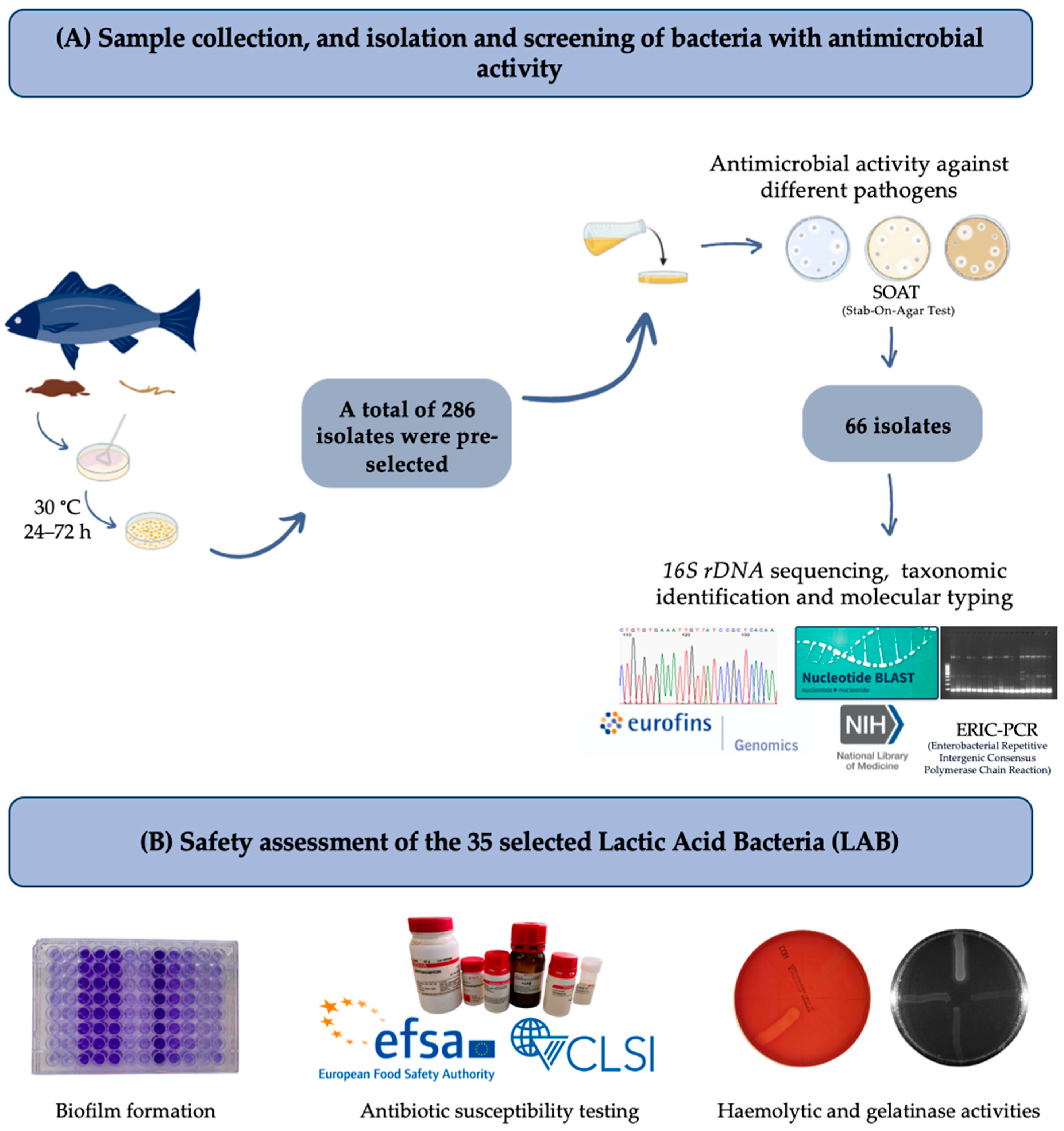 Antibiotics 14 00469 g005