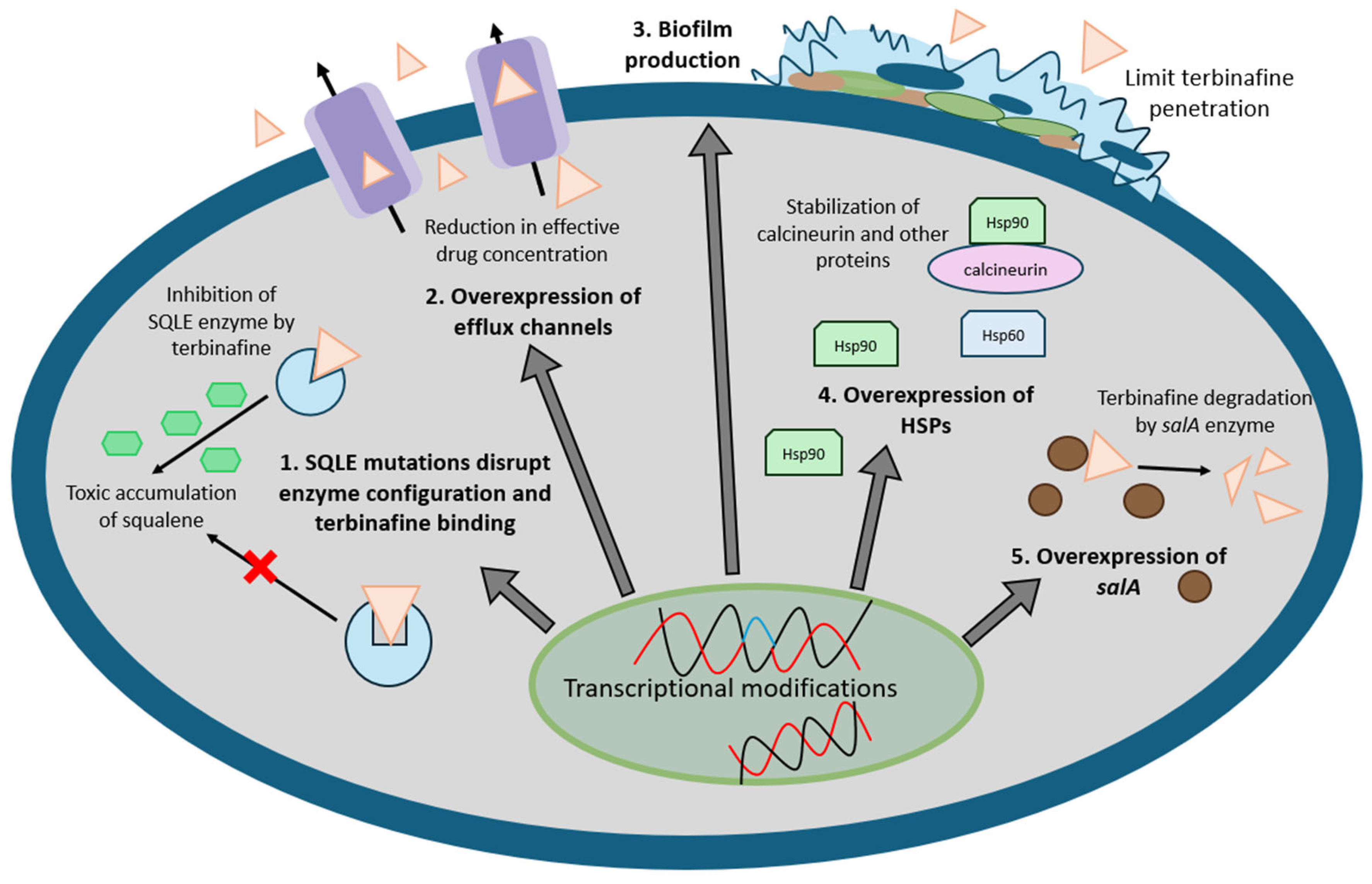 Antibiotics 14 00472 g003