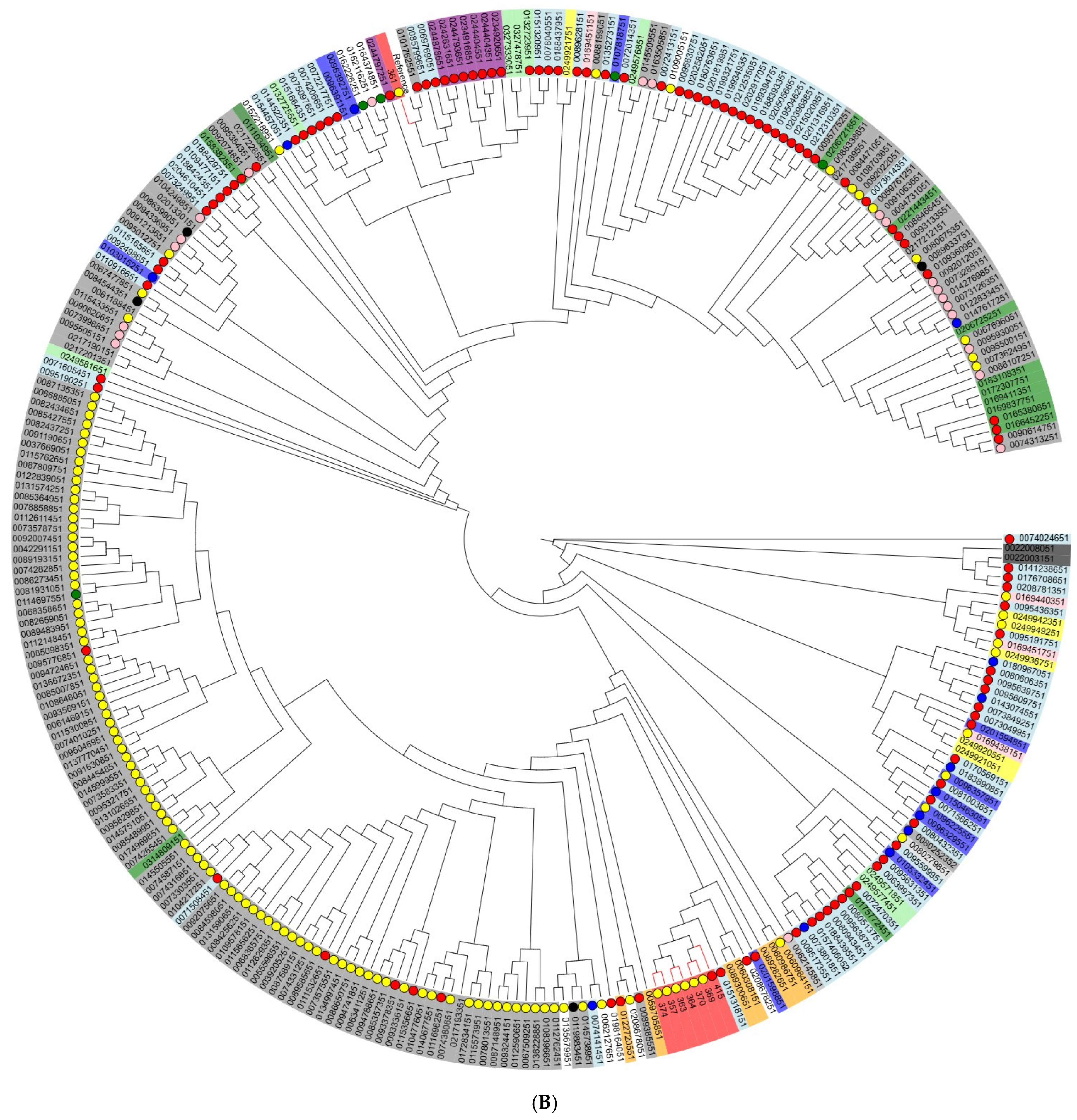 Antibiotics 14 00489 g003b Antibiotics 14 00489 g003b