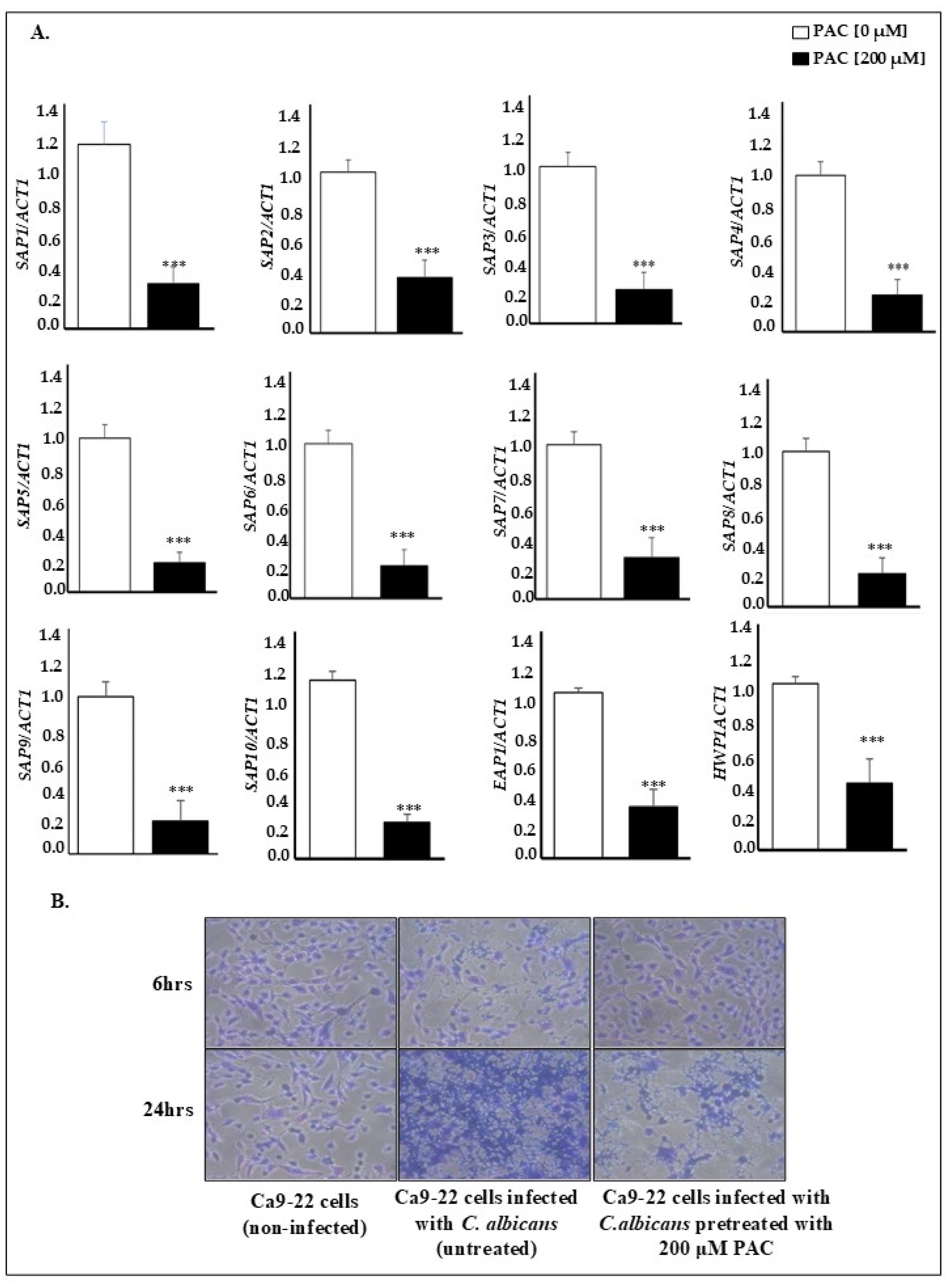 Antibiotics 14 00495 g004 Antibiotics 14 00495 g004