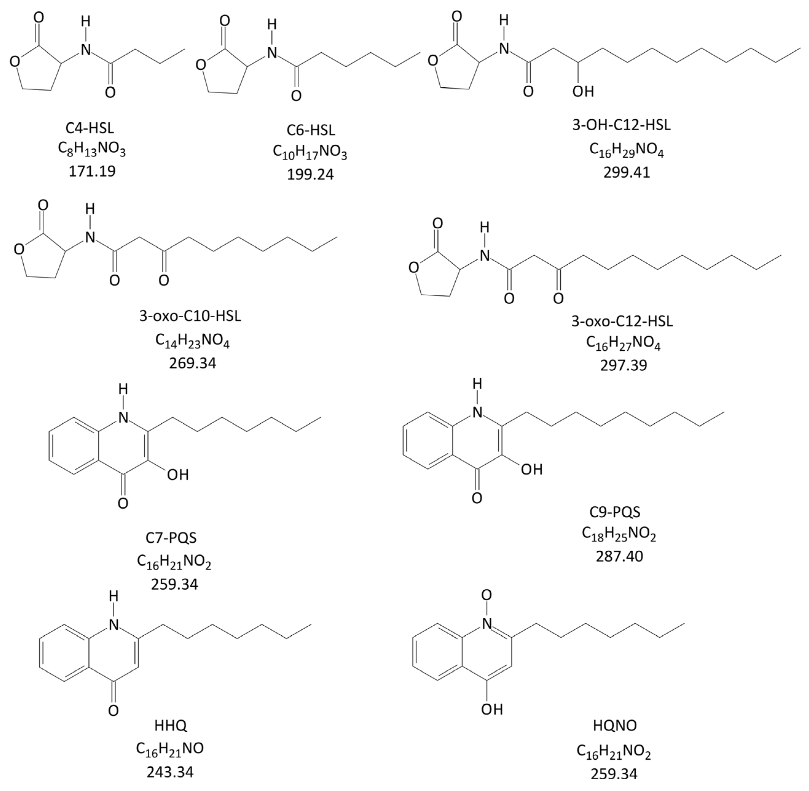 Antibiotics 14 00517 g001