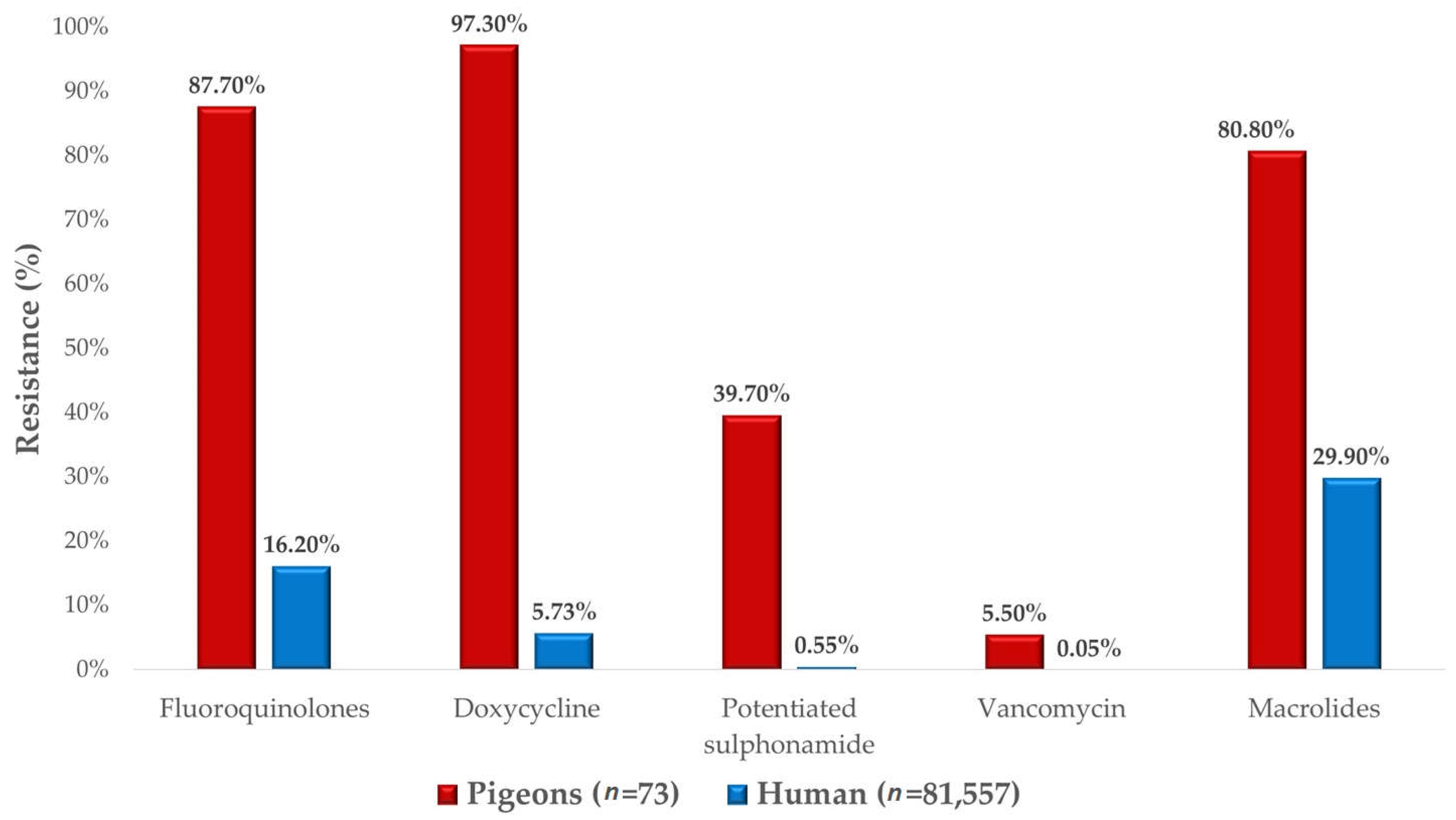 Antibiotics 14 00525 g008