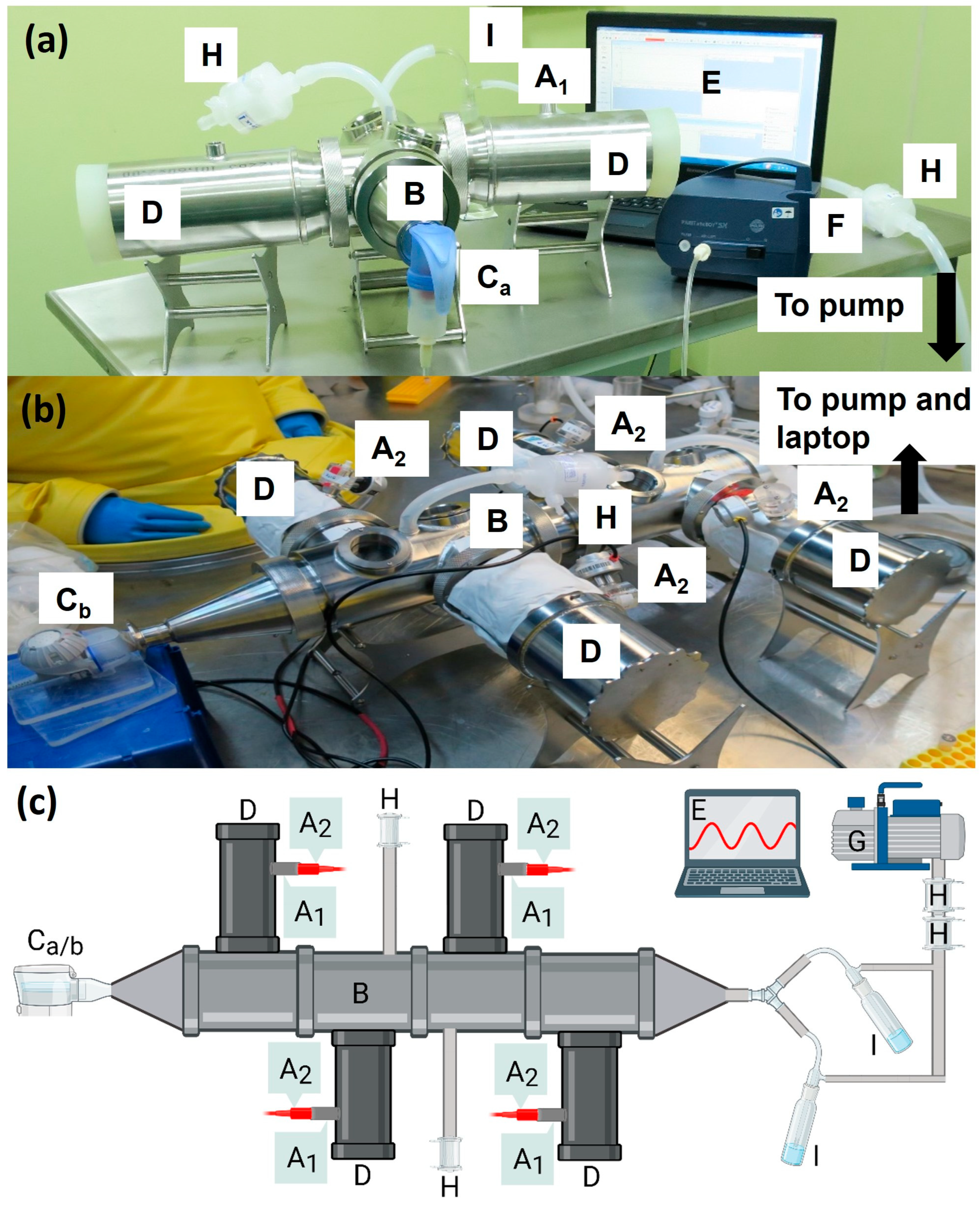 Antibiotics 14 00554 g001
