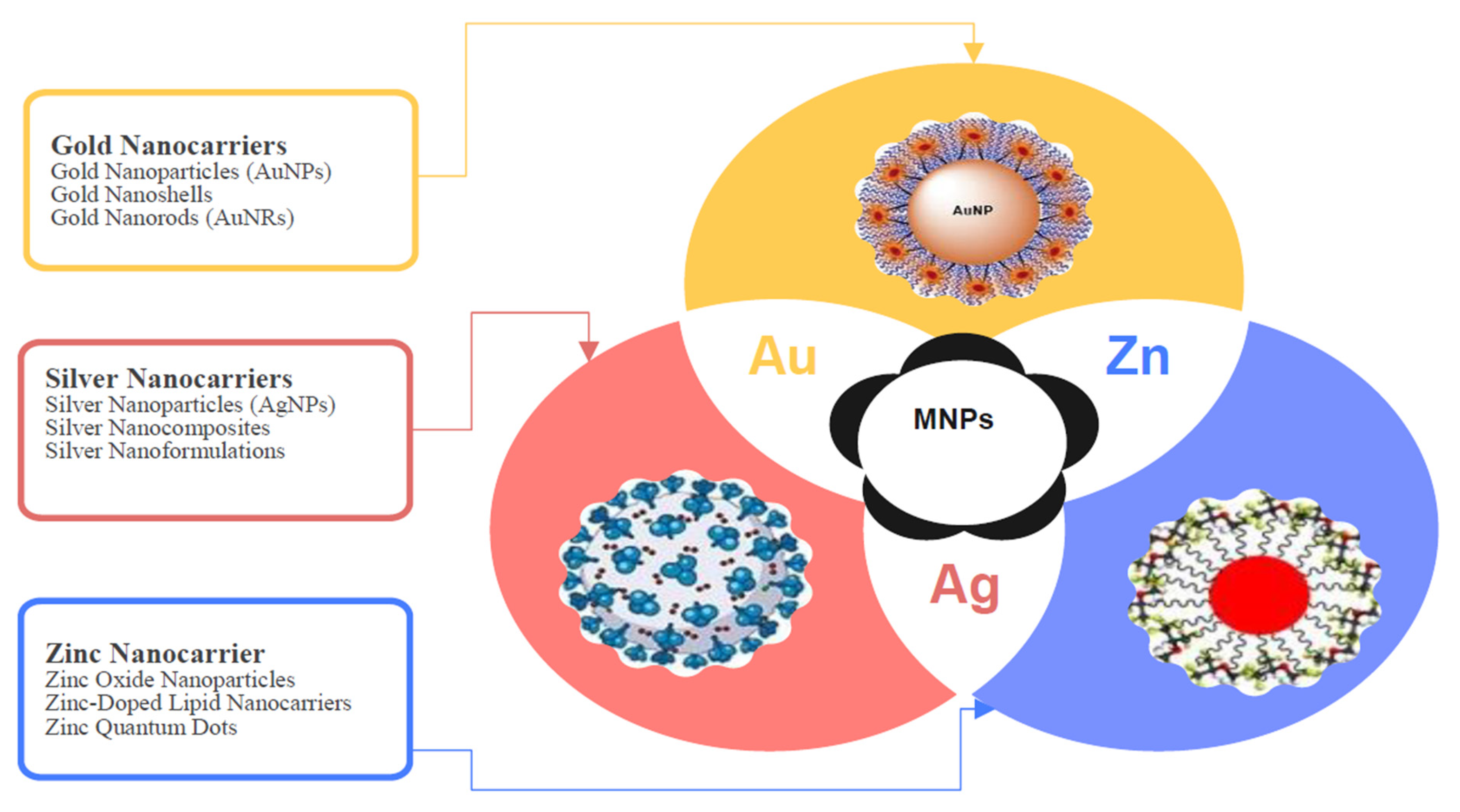 Antibiotics 14 00555 g006