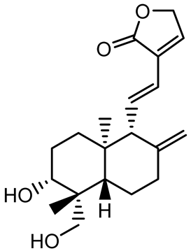 Antibiotics 14 00555 i001