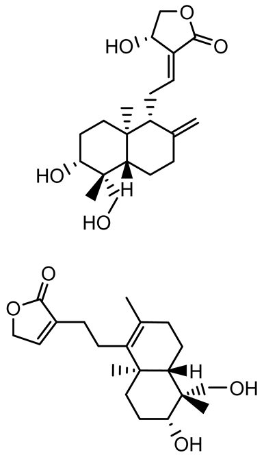 Antibiotics 14 00555 i002a