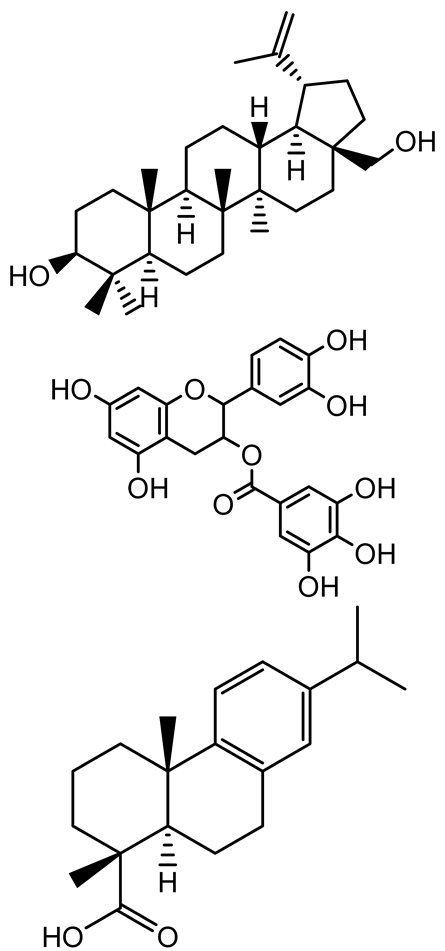 Antibiotics 14 00555 i024b