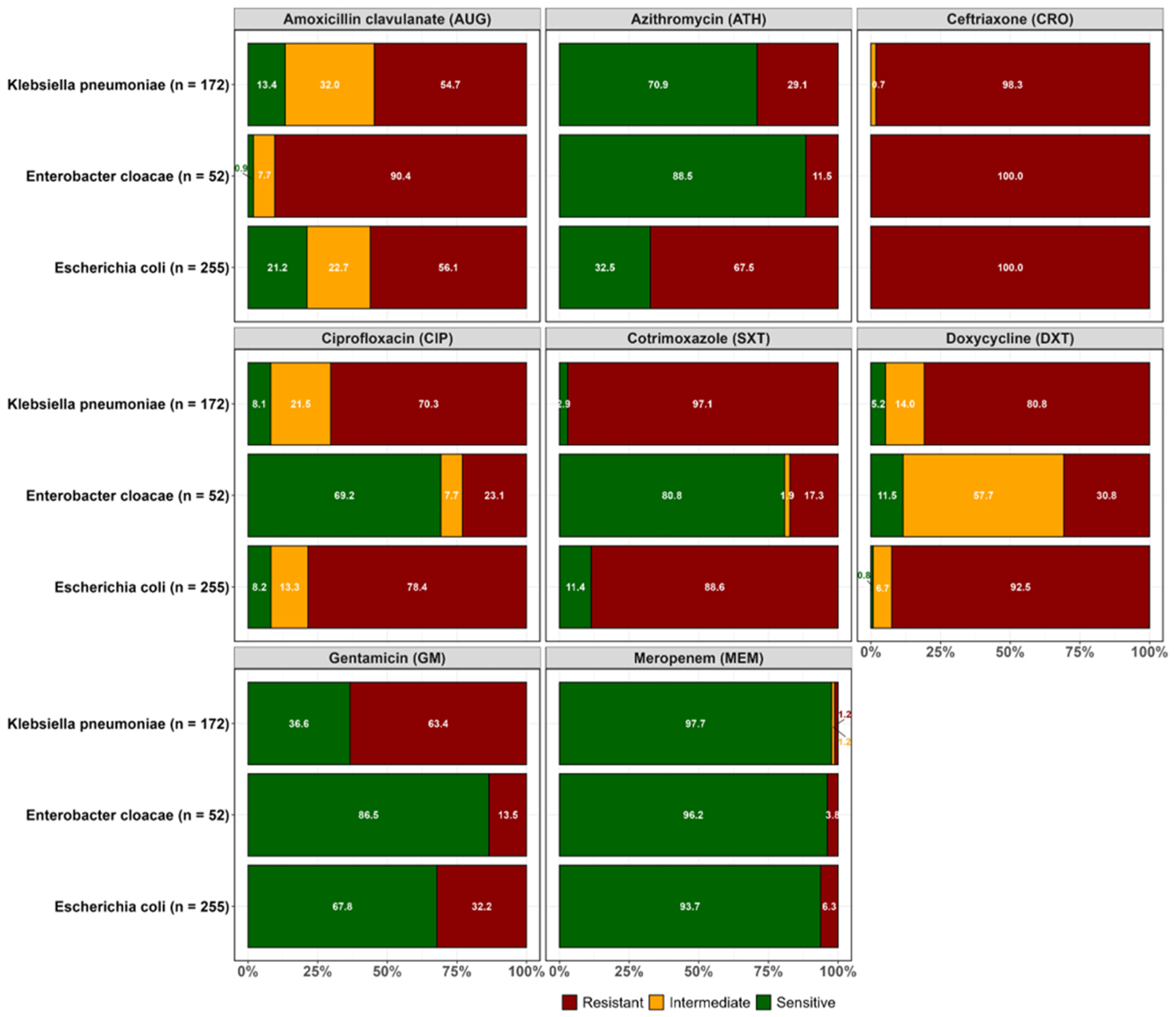 Antibiotics 14 00562 g001