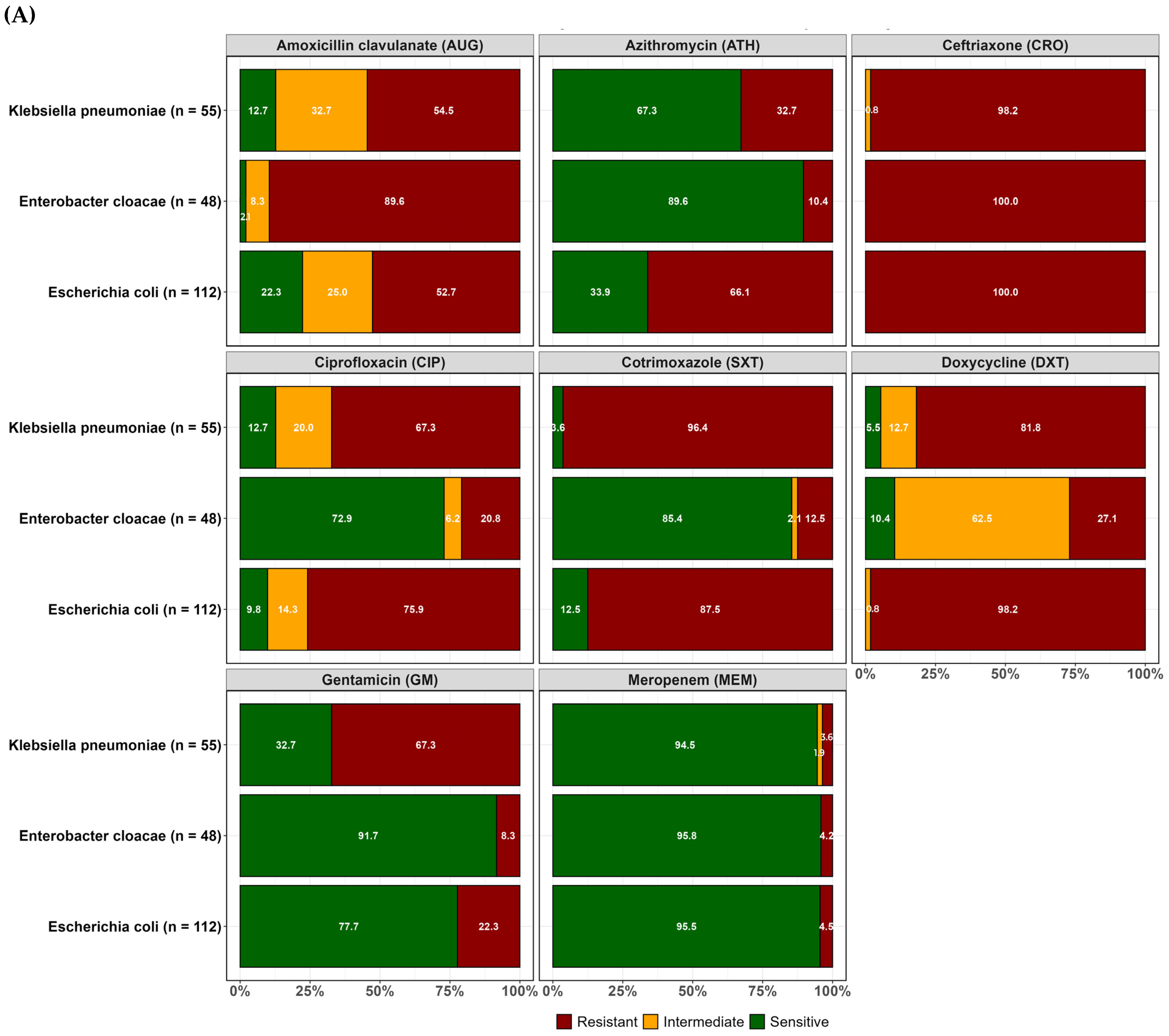 Antibiotics 14 00562 g002a