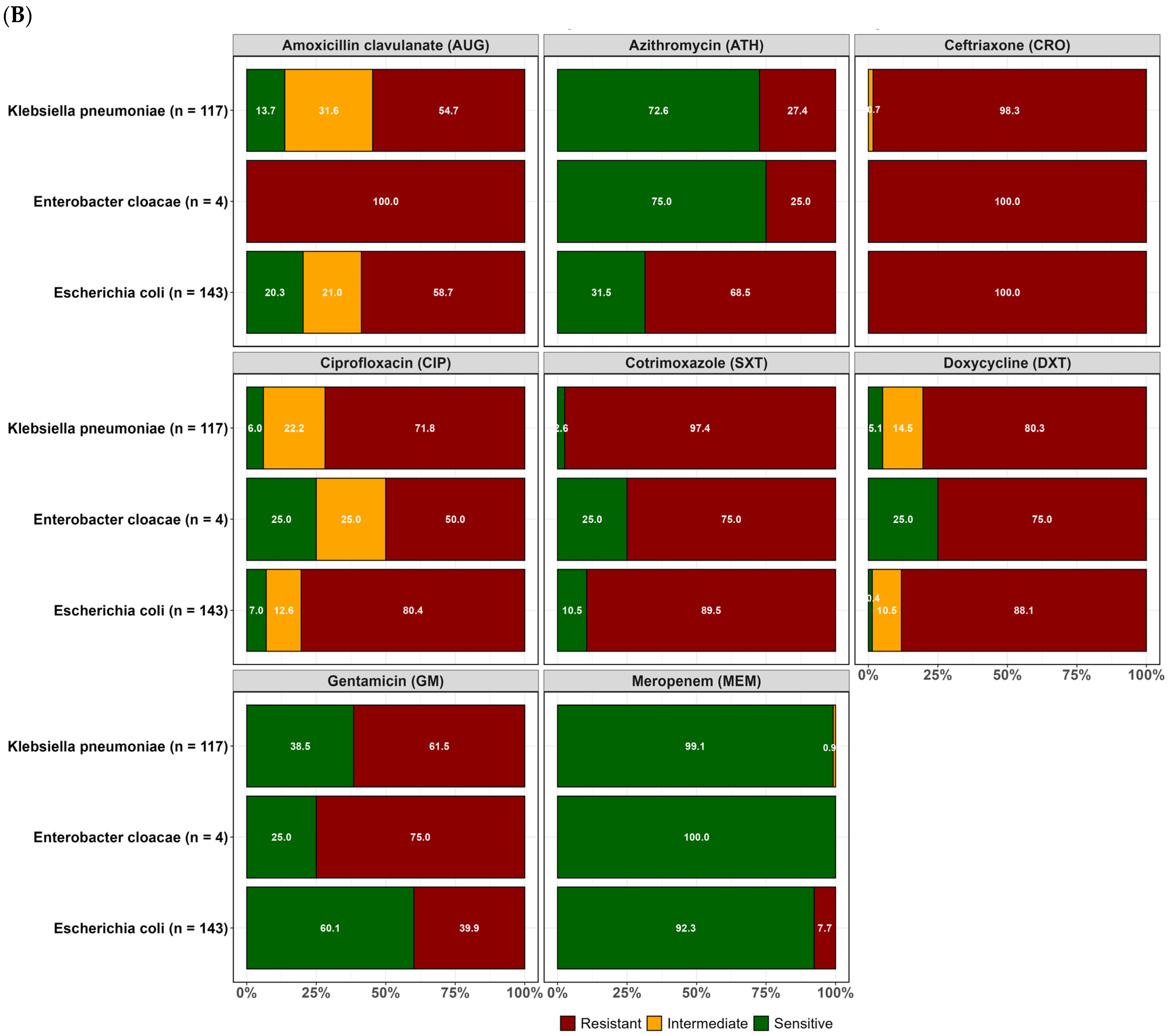 Antibiotics 14 00562 g002b