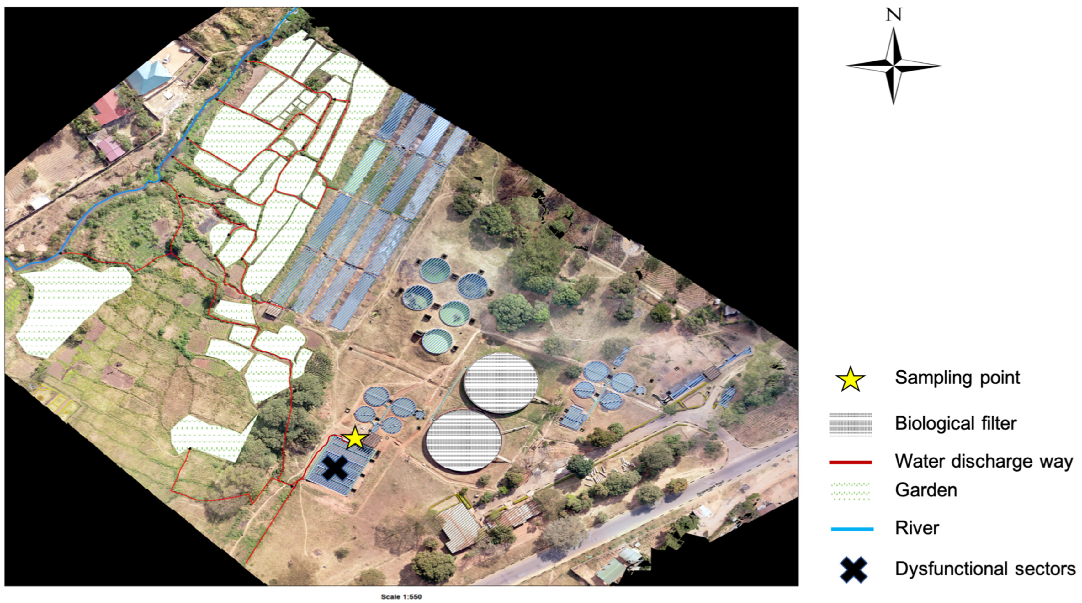 Antibiotics 14 00562 g004