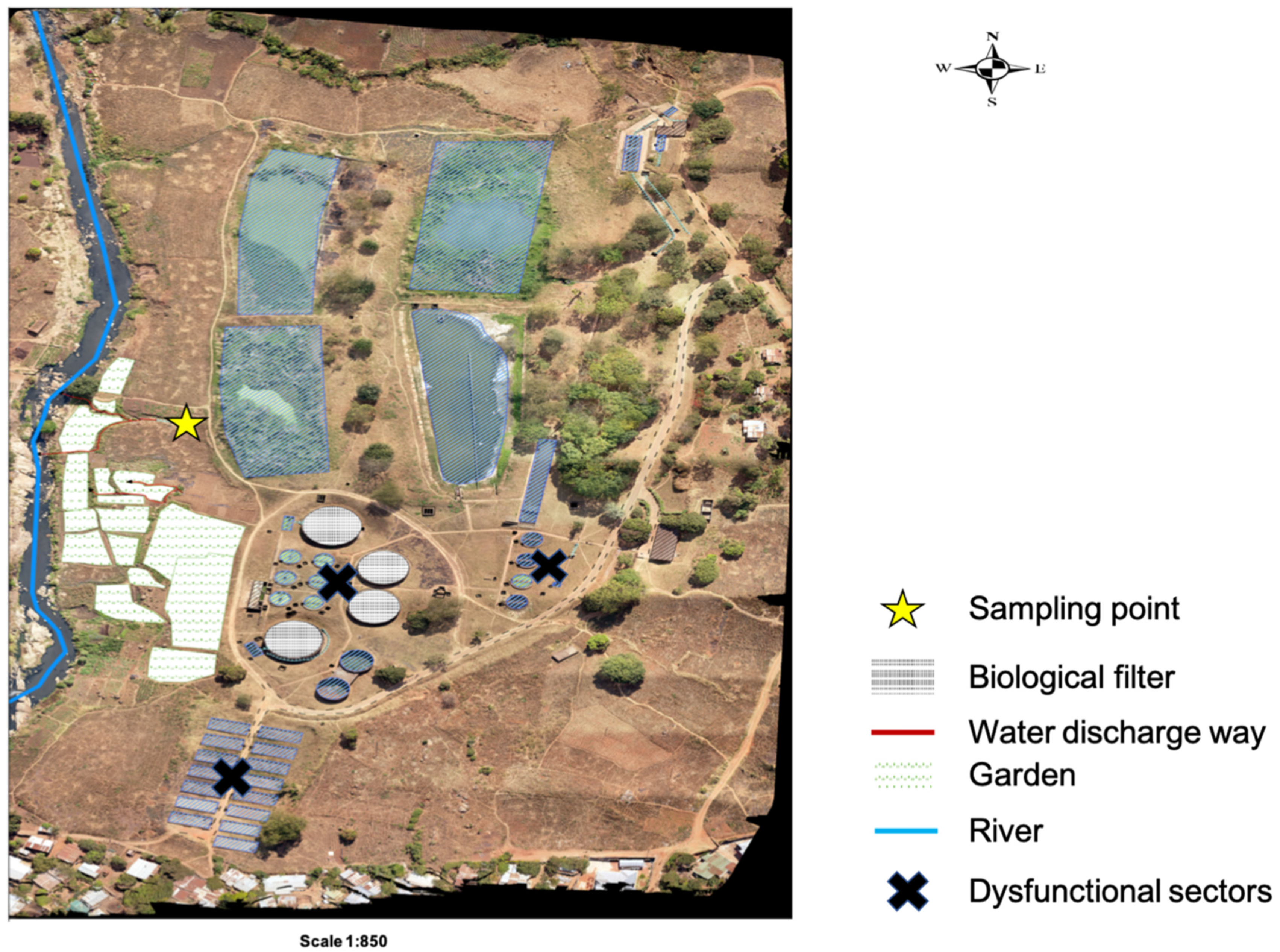 Antibiotics 14 00562 g005