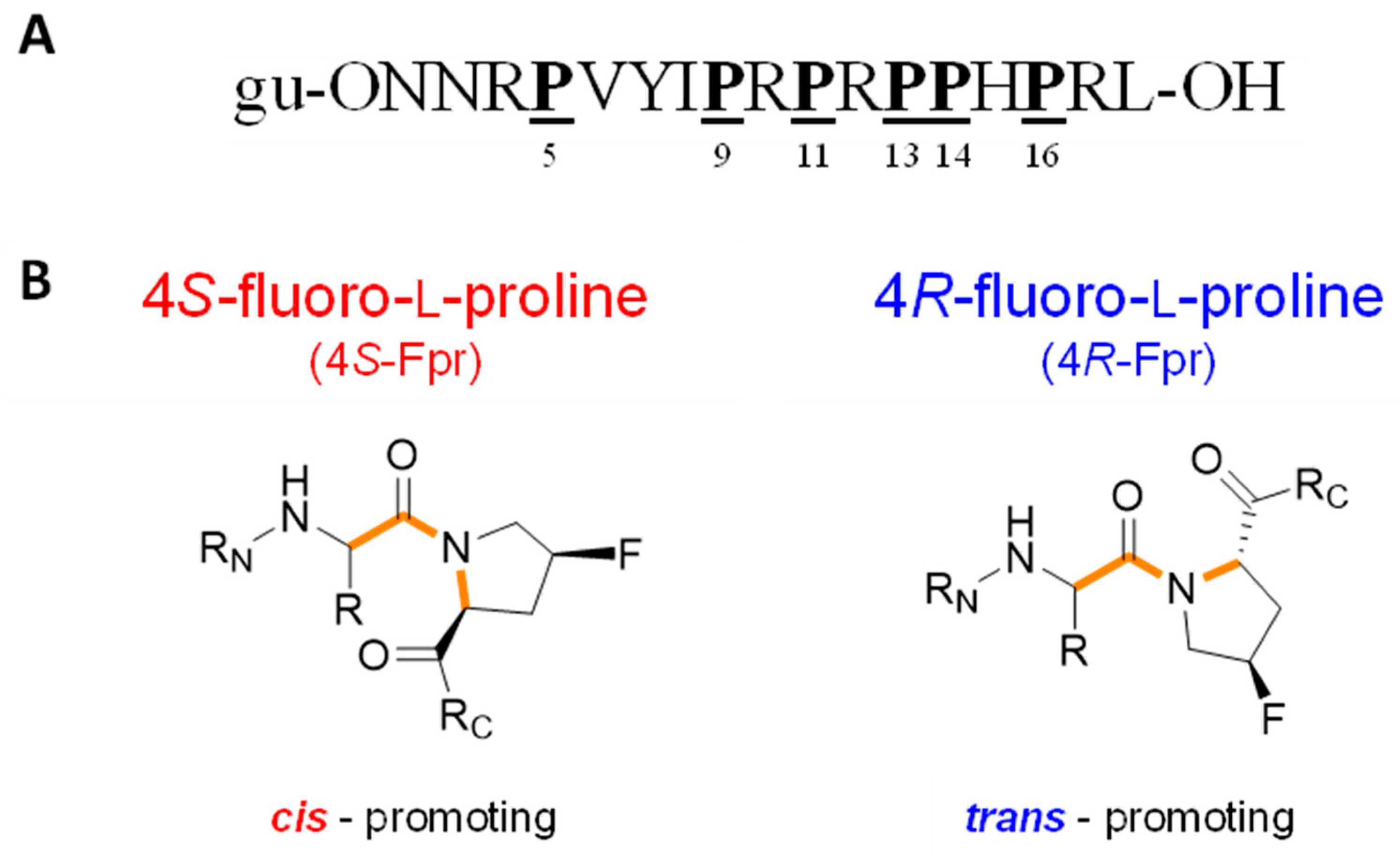 Antibiotics 14 00566 g001