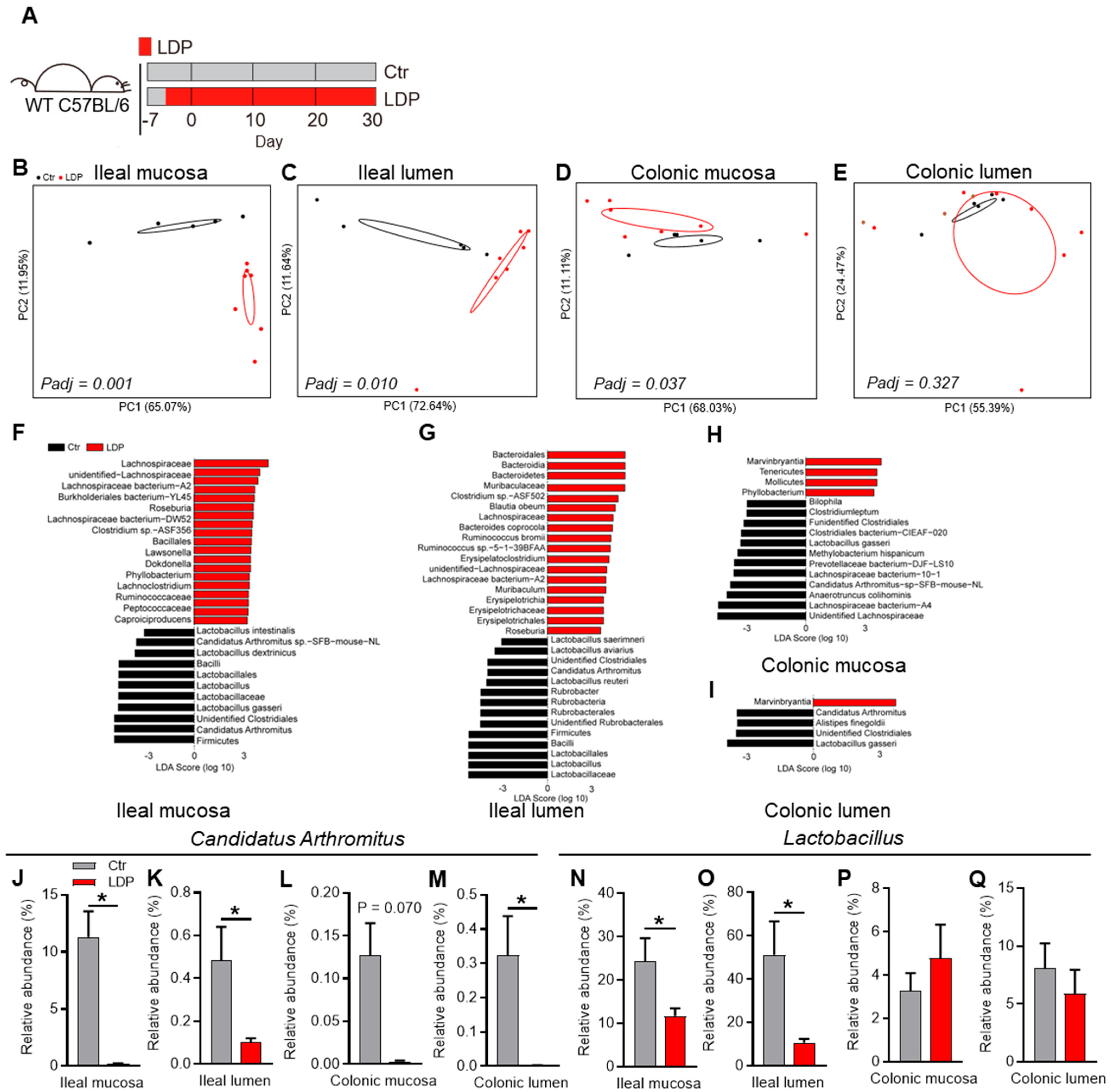 Antibiotics 14 00574 g001