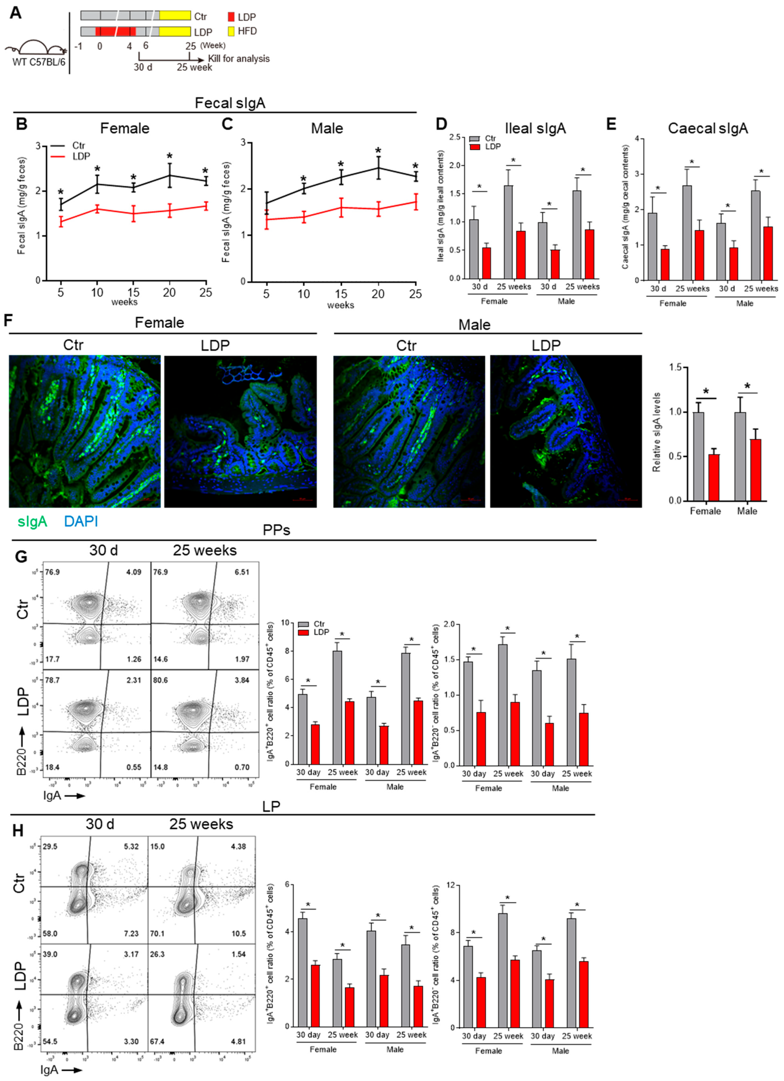 Antibiotics 14 00574 g002