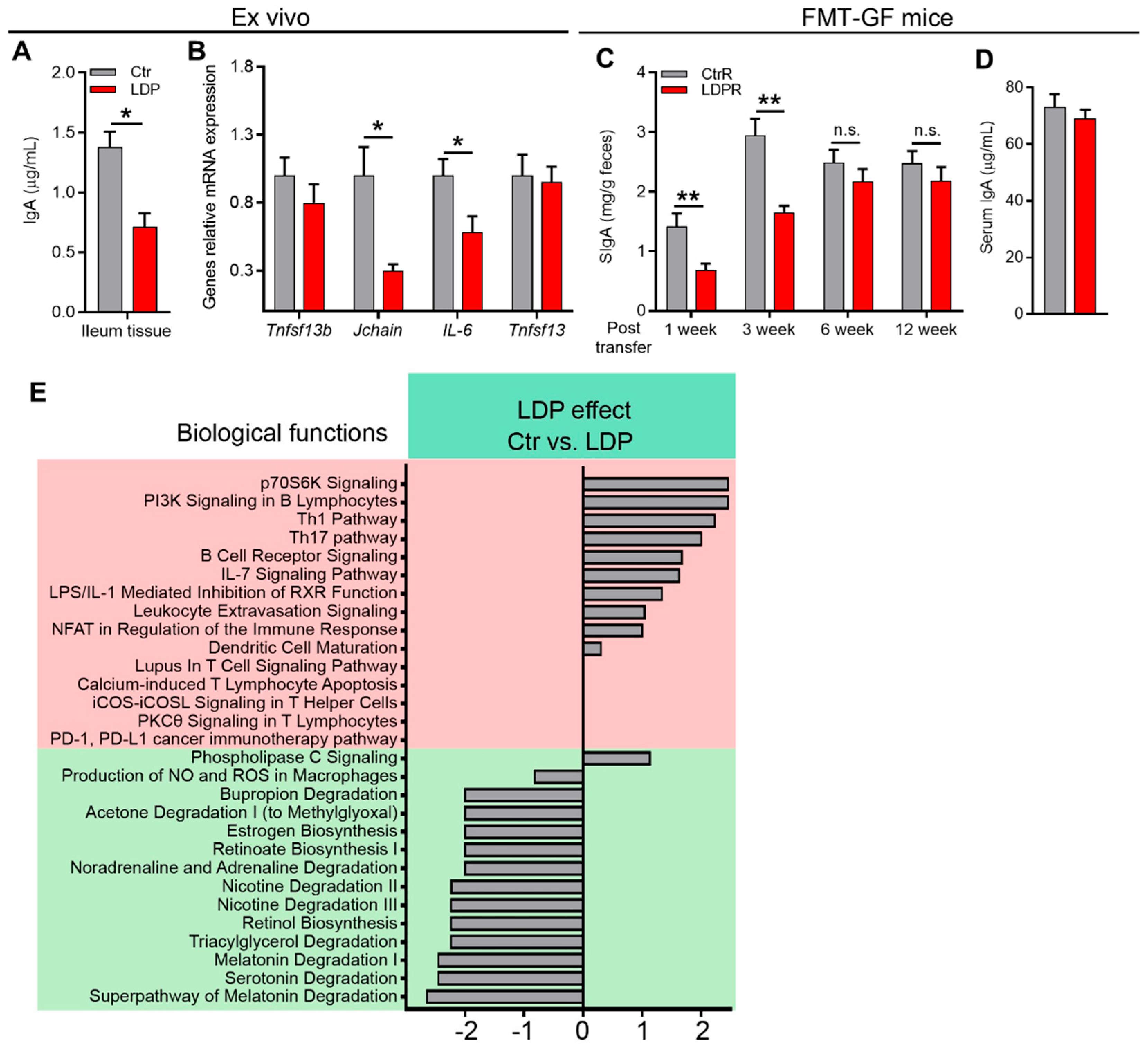 Antibiotics 14 00574 g003
