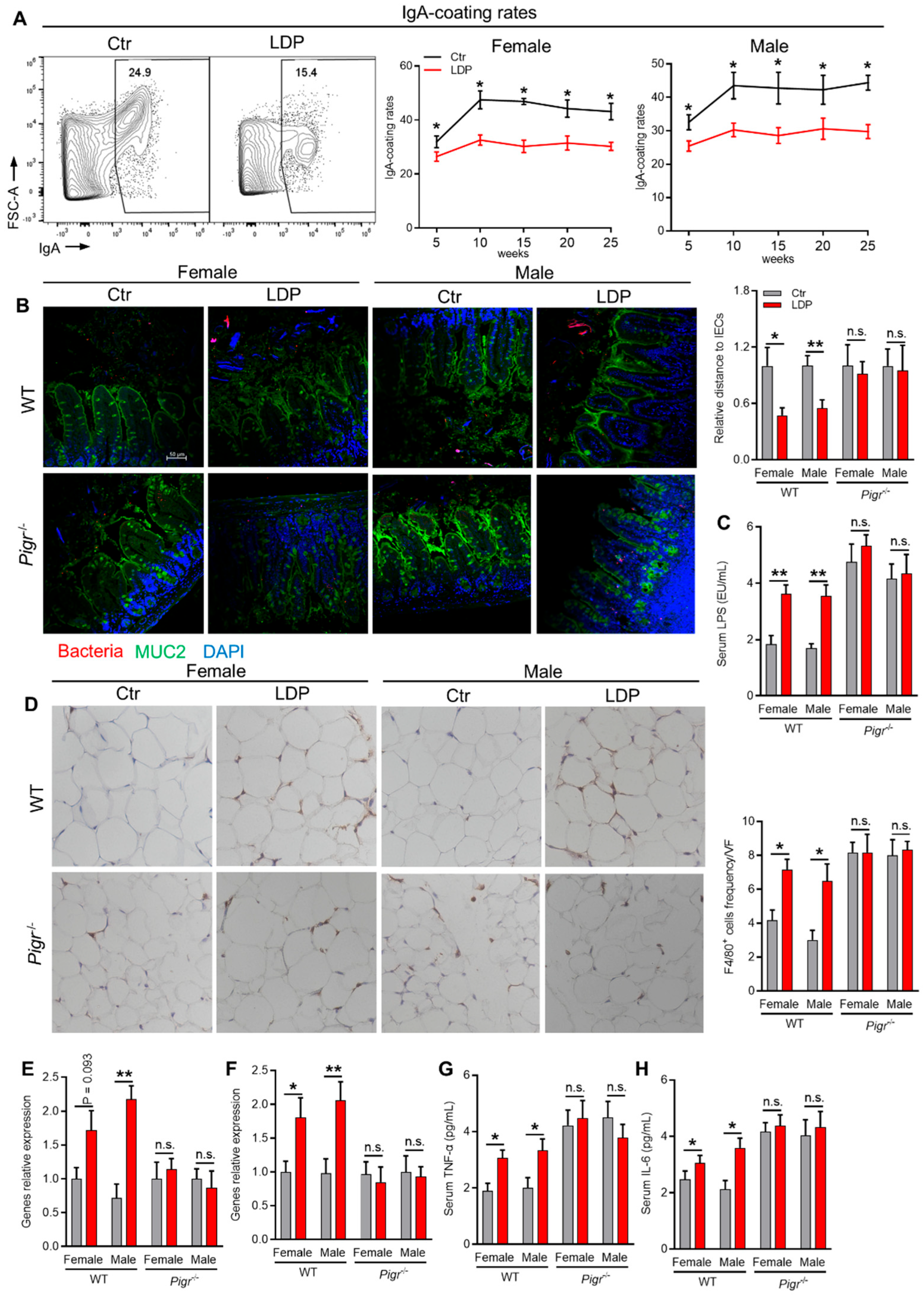 Antibiotics 14 00574 g004