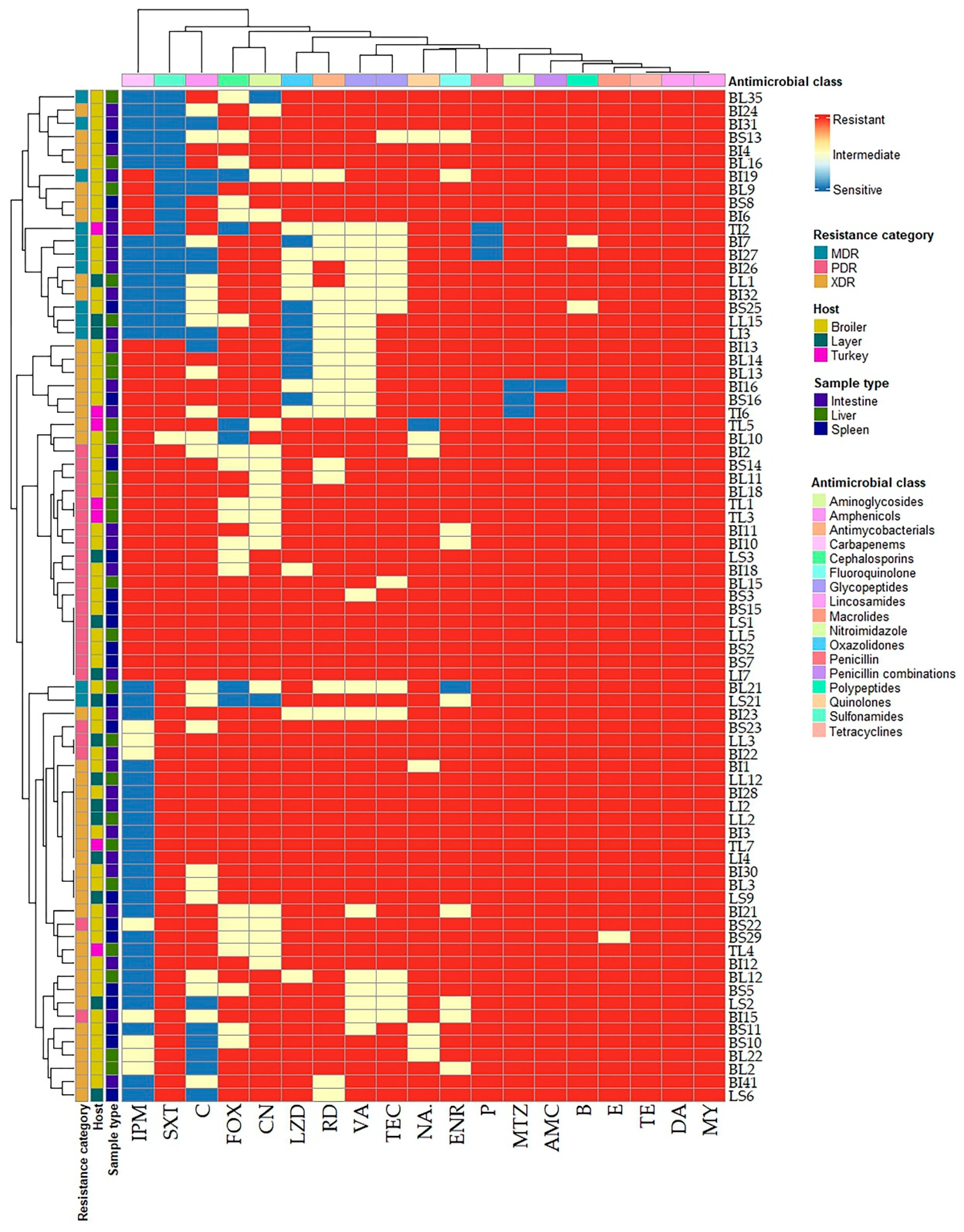 Antibiotics 14 00575 g001