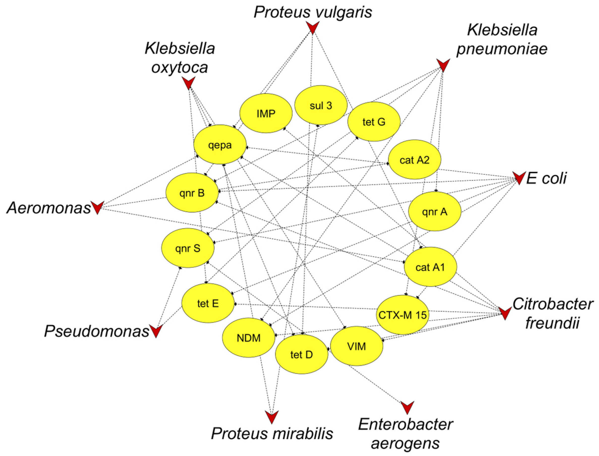 Antibiotics 14 00607 g002