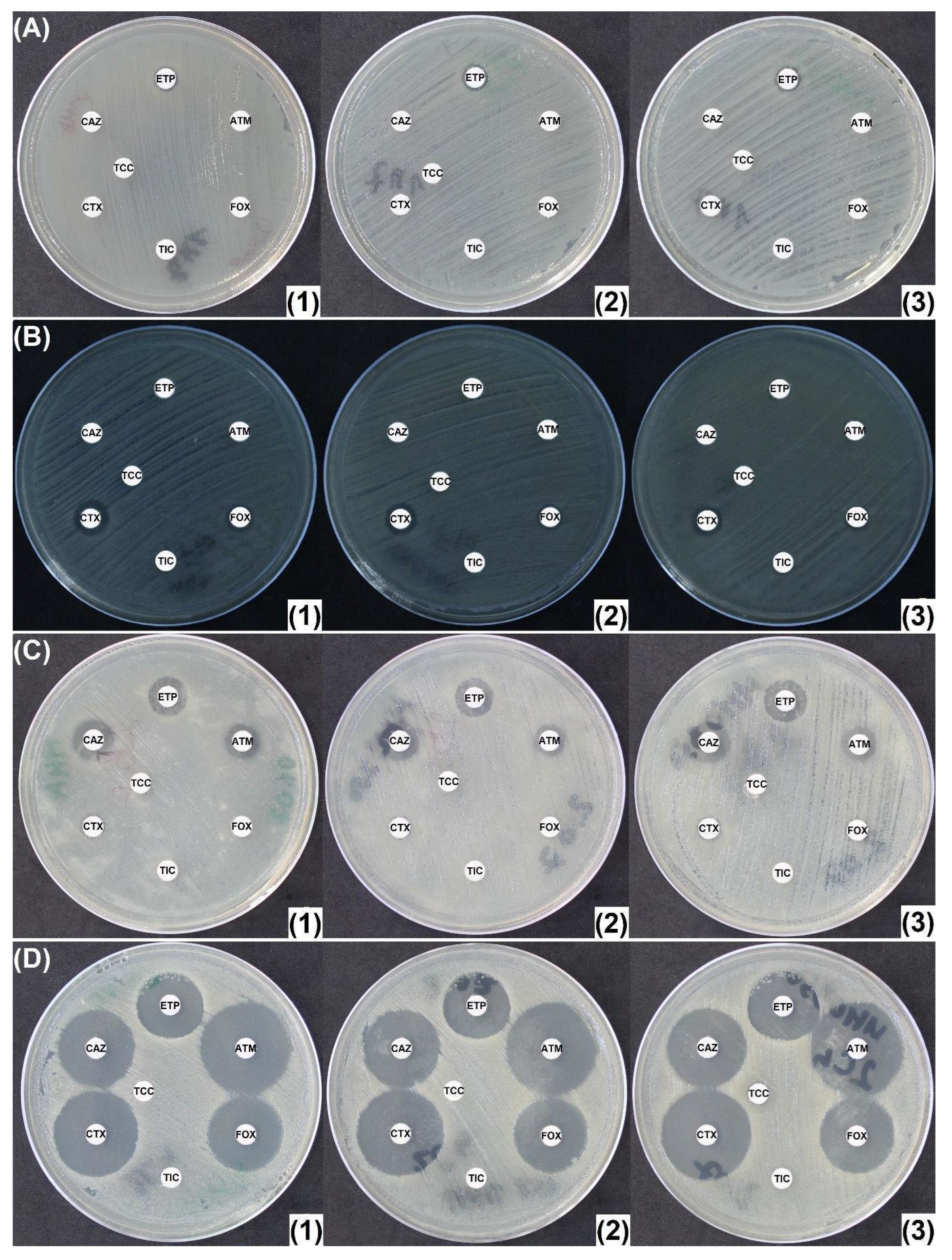 Antibiotics 14 00616 g006