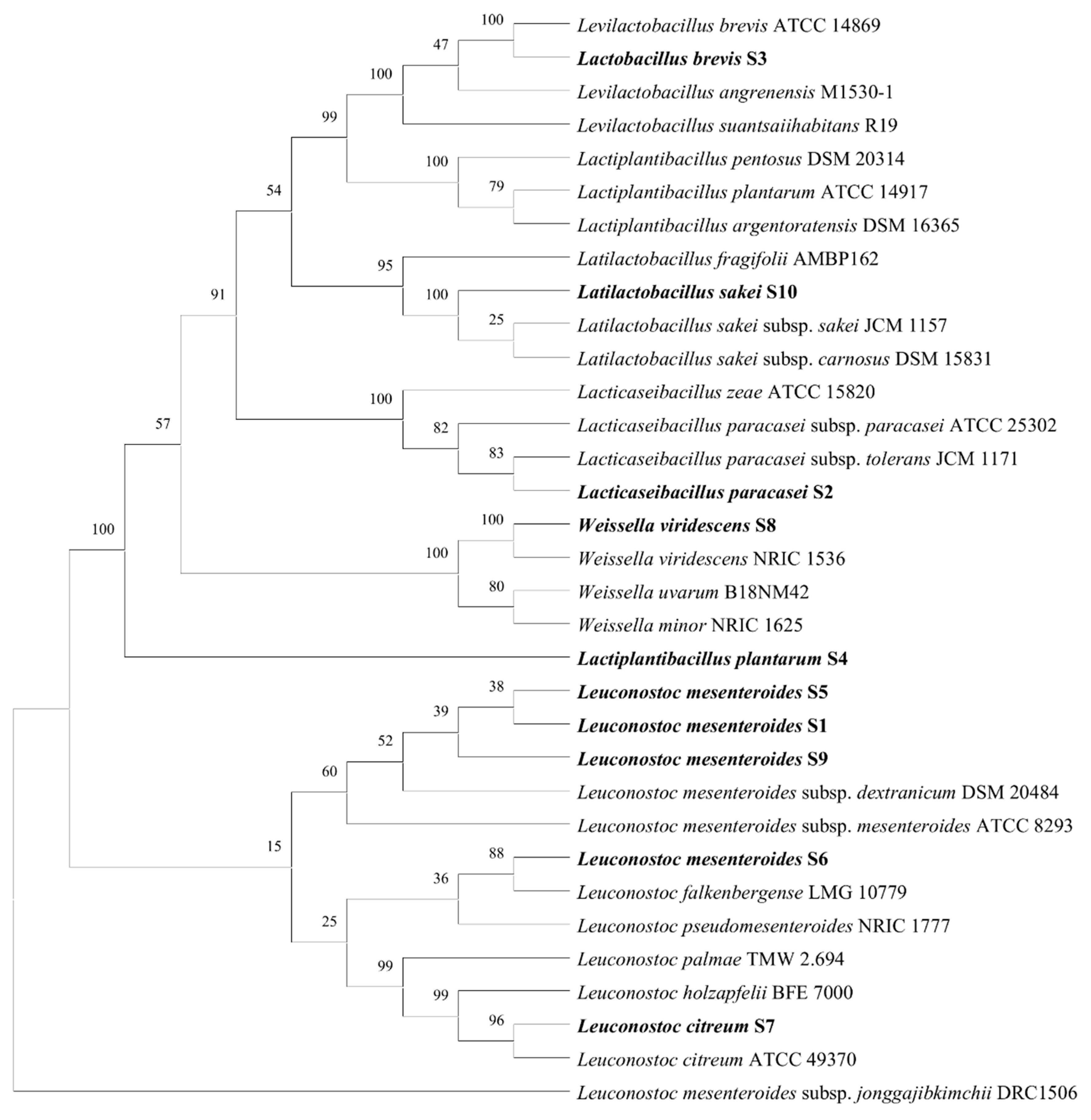 Antibiotics 14 00637 g001