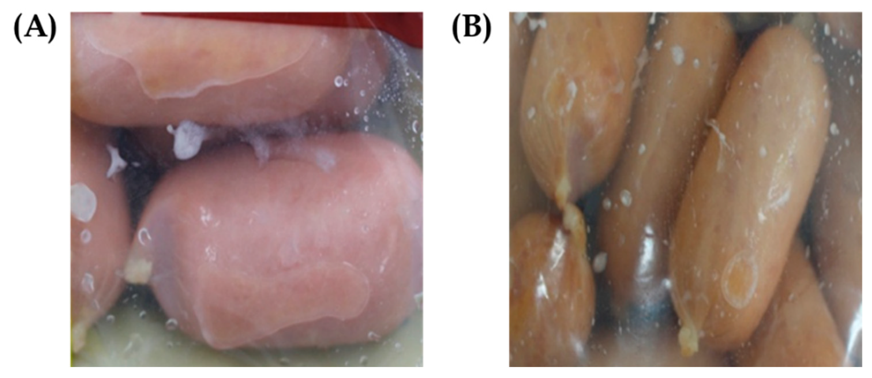 Antibiotics 14 00637 g004