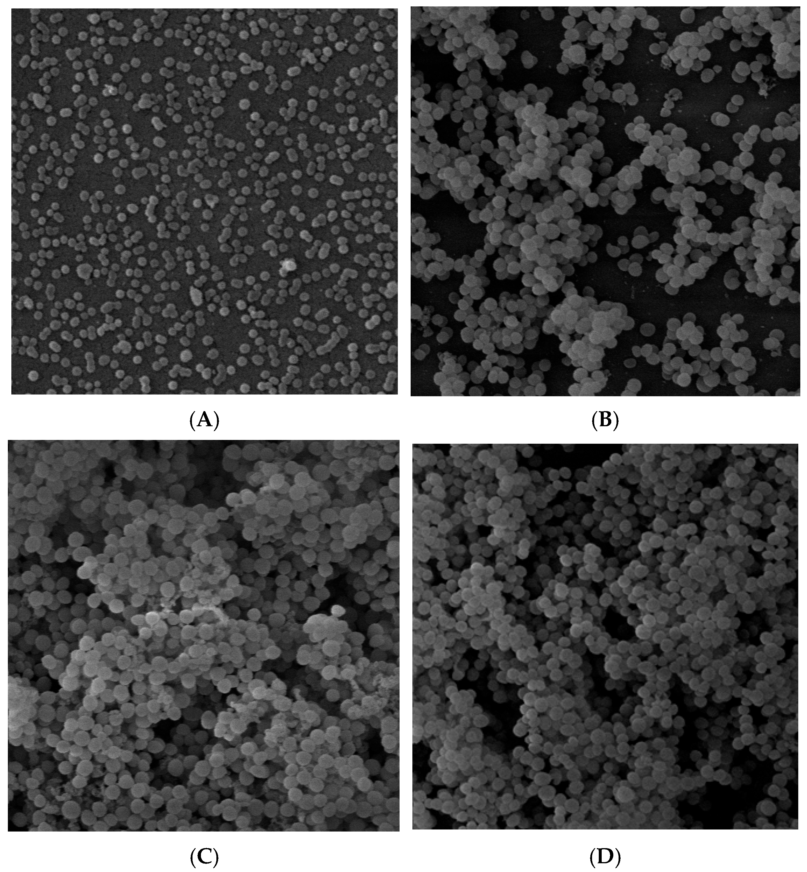 Antibiotics 14 00668 g001