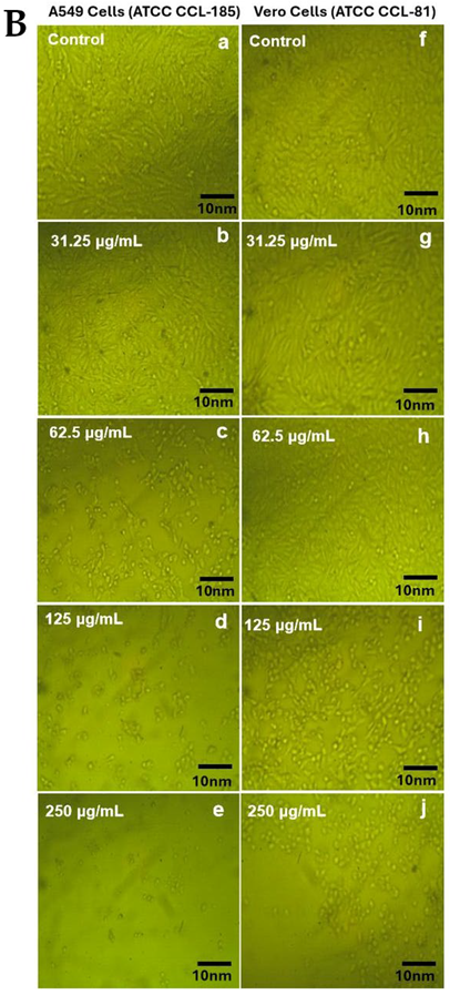 Antibiotics 14 00690 i001