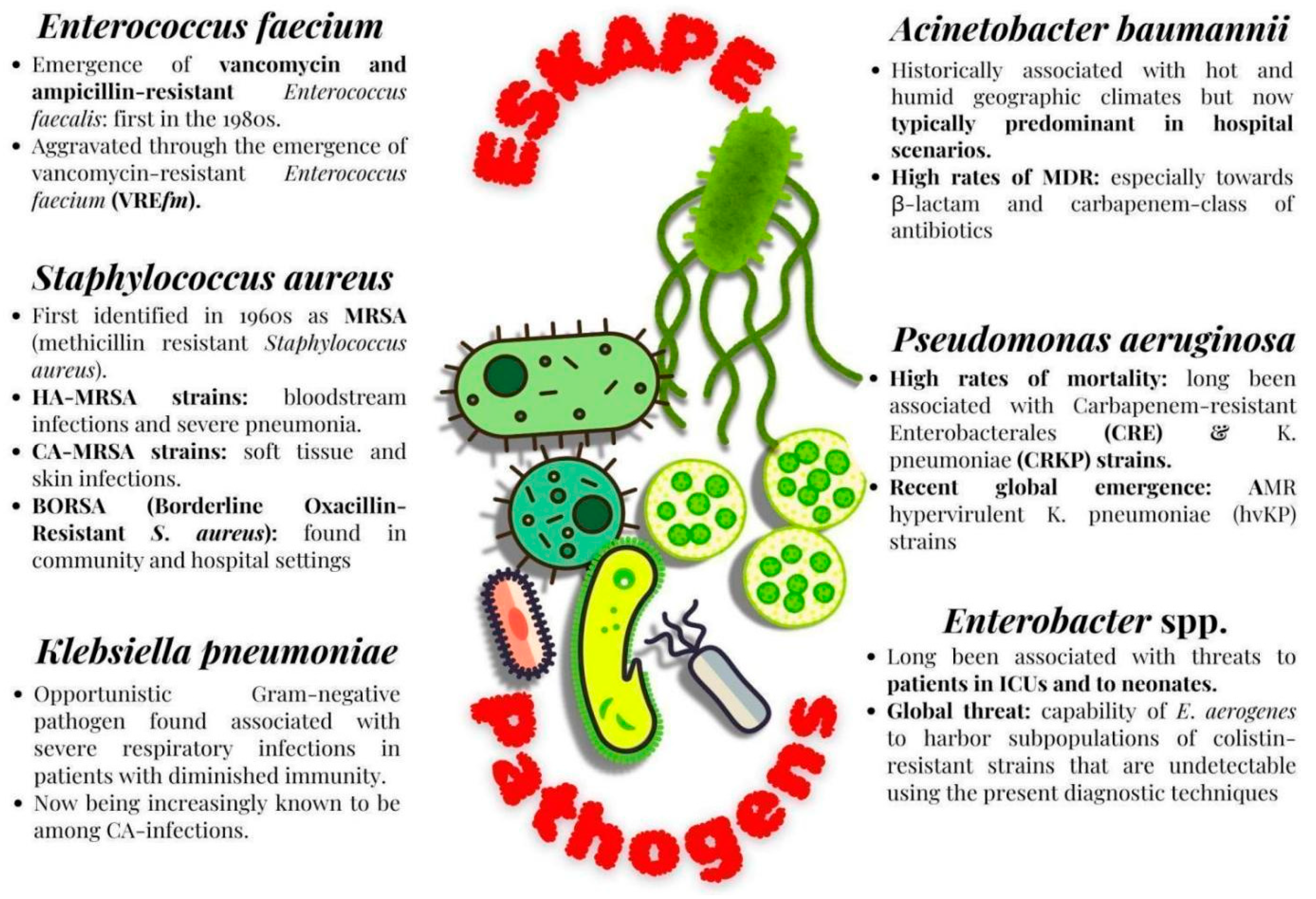 Antibiotics 14 00692 g001 Antibiotics 14 00692 g001