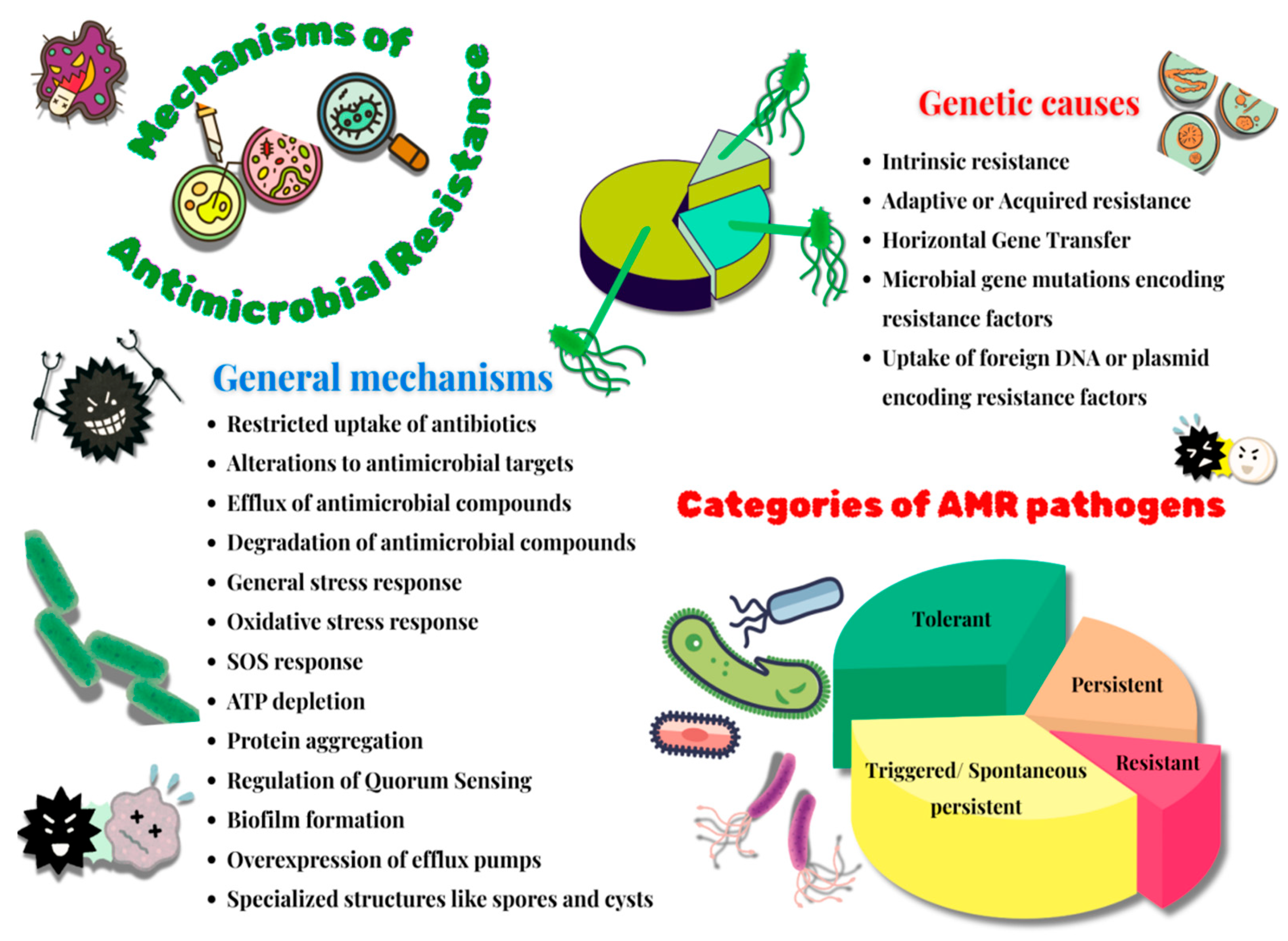 Antibiotics 14 00692 g002 Antibiotics 14 00692 g002