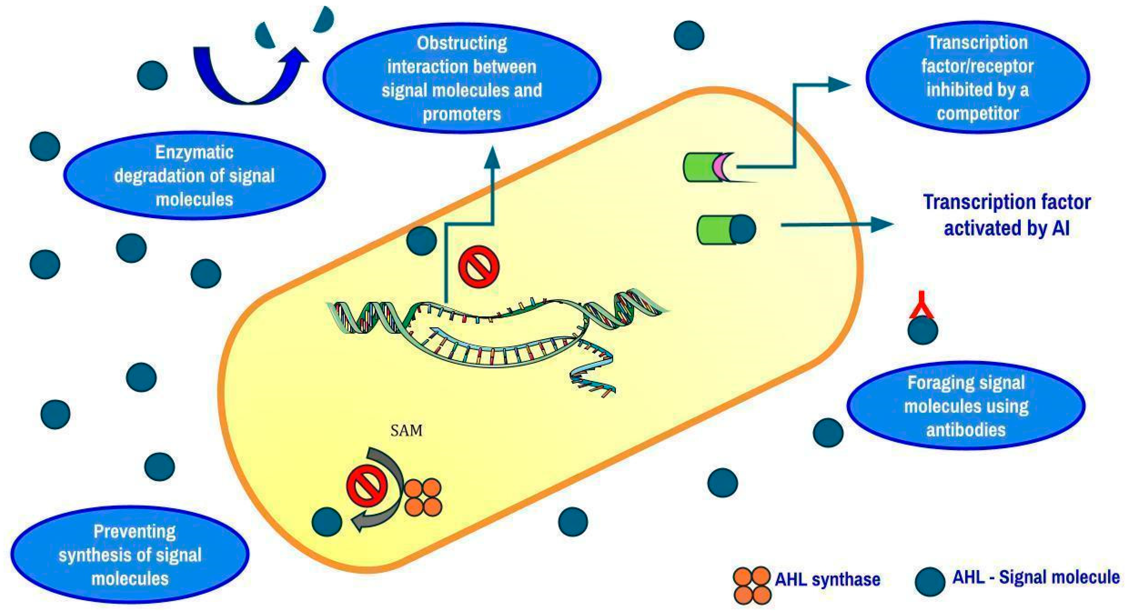 Antibiotics 14 00692 g004 Antibiotics 14 00692 g004