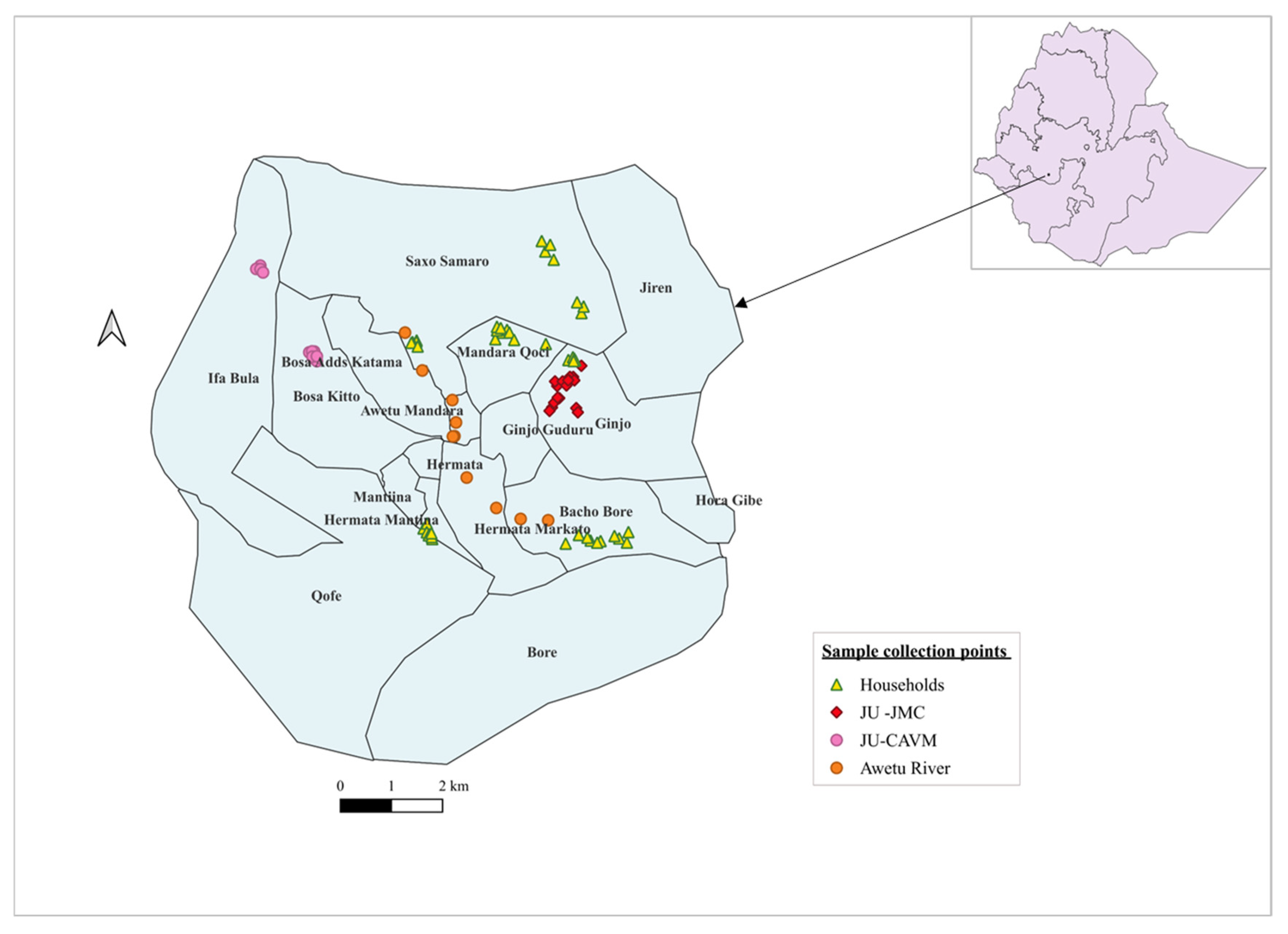 Antibiotics 14 00706 g006