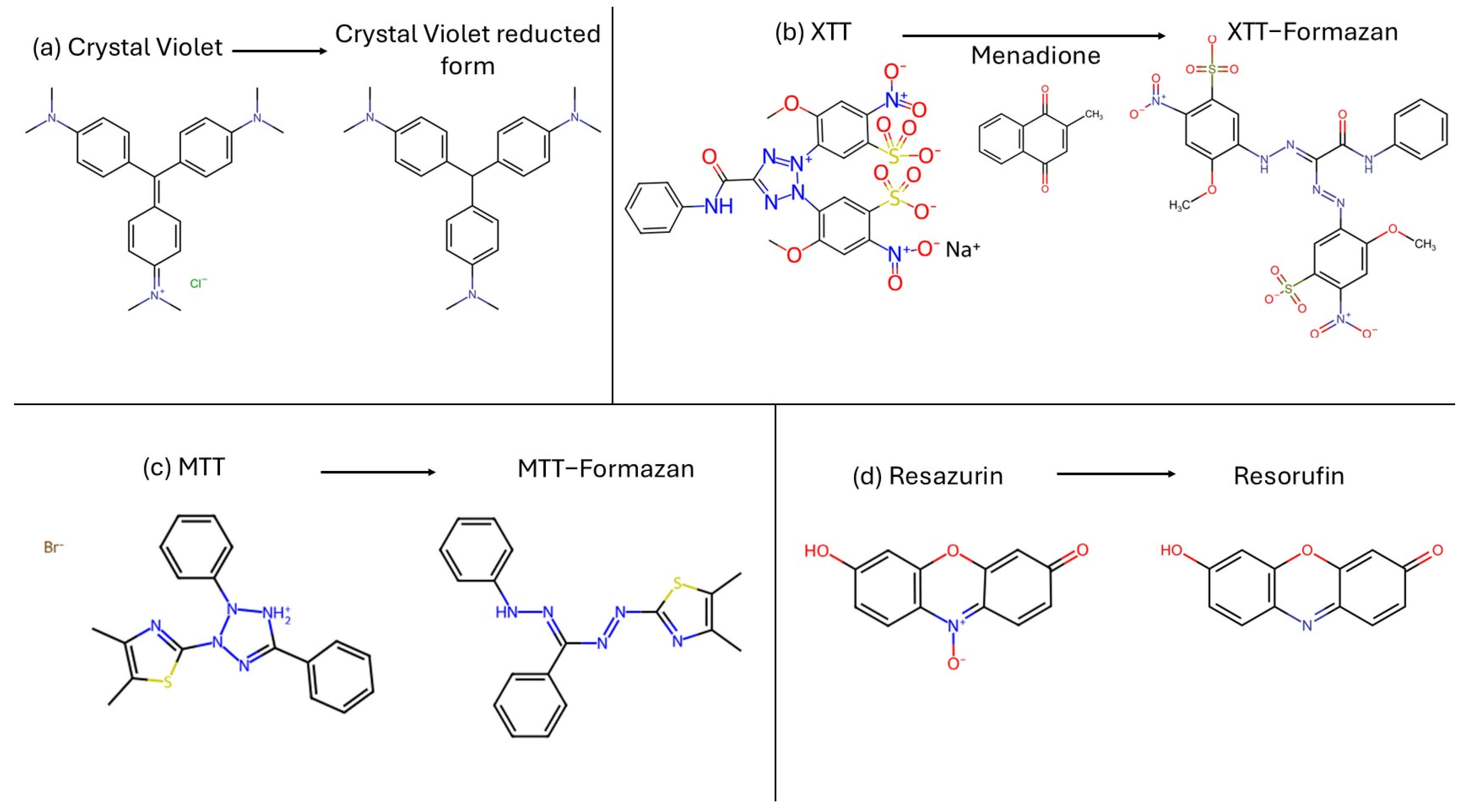 Antibiotics 14 00718 g004