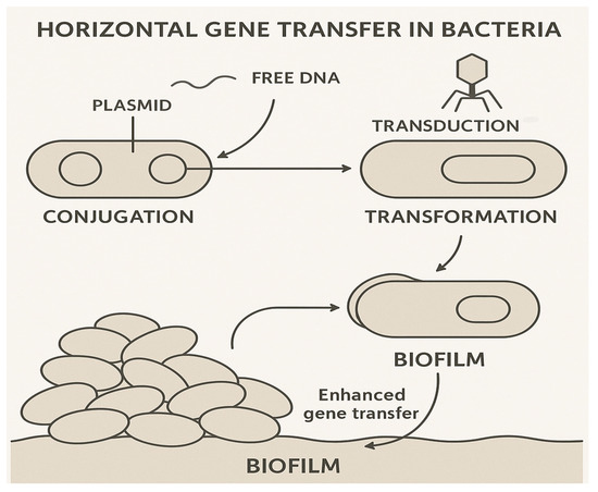 Antibiotics 14 00764 g003