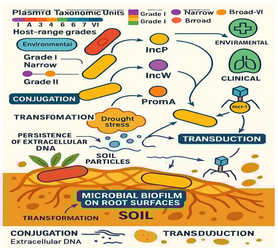 Antibiotics 14 00764 g004