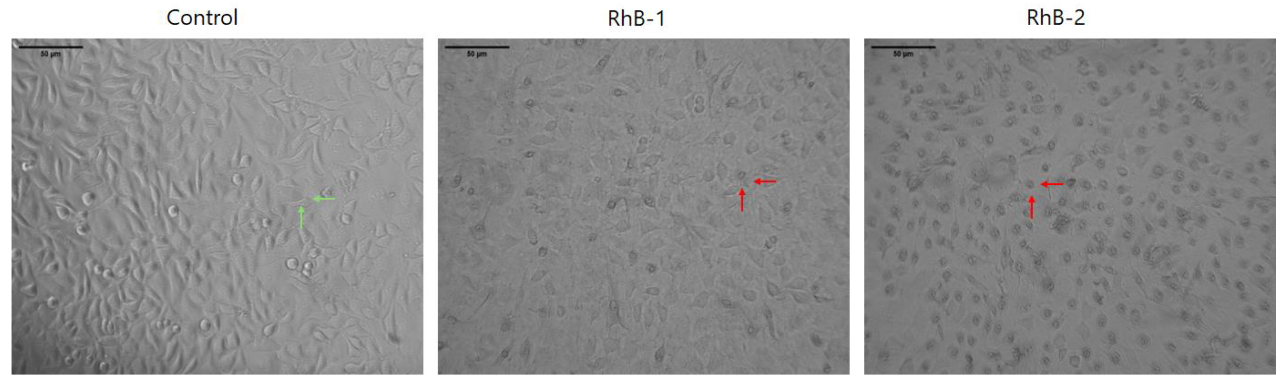 Antibiotics 14 00793 g003 Antibiotics 14 00793 g003