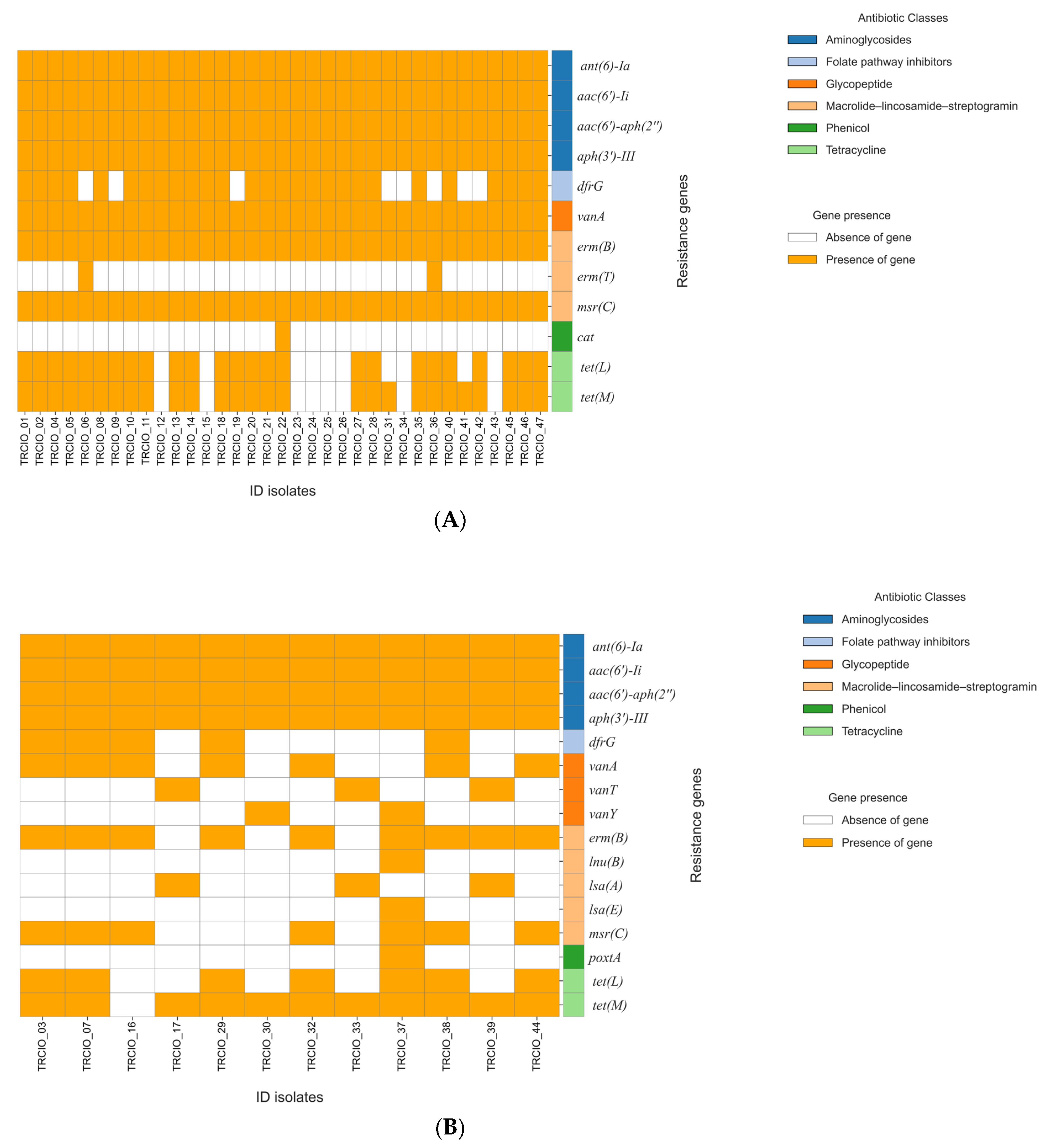 Antibiotics 14 00795 g001