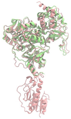 Antibiotics 14 00805 i001 Antibiotics 14 00805 i001