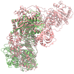 Antibiotics 14 00805 i003 Antibiotics 14 00805 i003