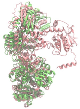 Antibiotics 14 00805 i005 Antibiotics 14 00805 i005