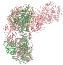 Antibiotics 14 00805 i007 Antibiotics 14 00805 i007