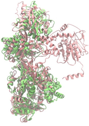 Antibiotics 14 00805 i009 Antibiotics 14 00805 i009