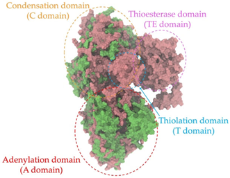 Antibiotics 14 00805 i010 Antibiotics 14 00805 i010