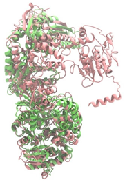 Antibiotics 14 00805 i011 Antibiotics 14 00805 i011