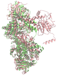 Antibiotics 14 00805 i013 Antibiotics 14 00805 i013