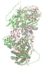 Antibiotics 14 00805 i015 Antibiotics 14 00805 i015