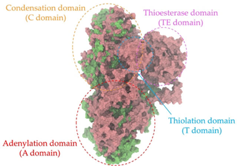 Antibiotics 14 00805 i018 Antibiotics 14 00805 i018
