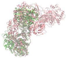 Antibiotics 14 00805 i019 Antibiotics 14 00805 i019